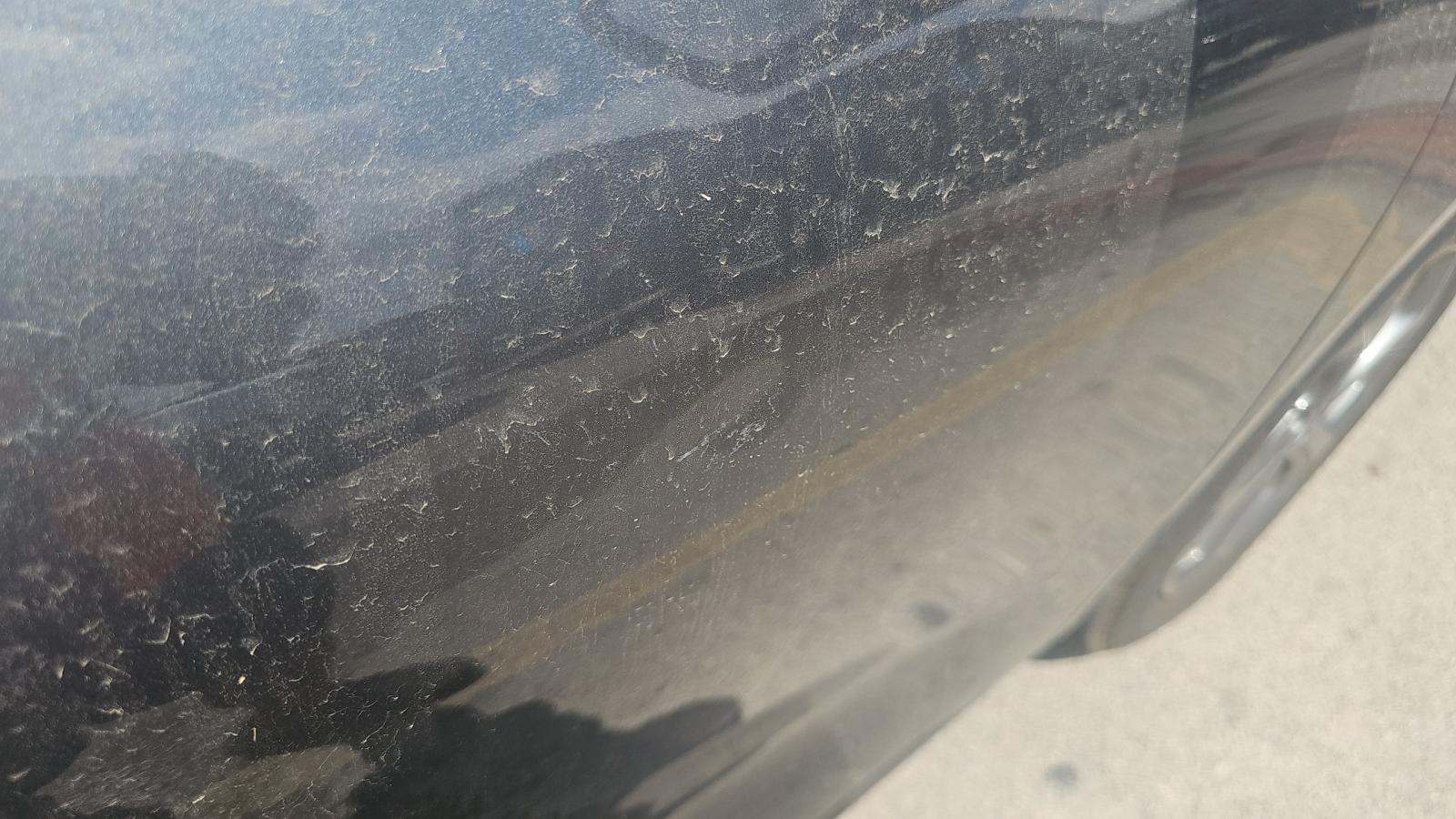 2025 Ford Escape ST-Line AWD