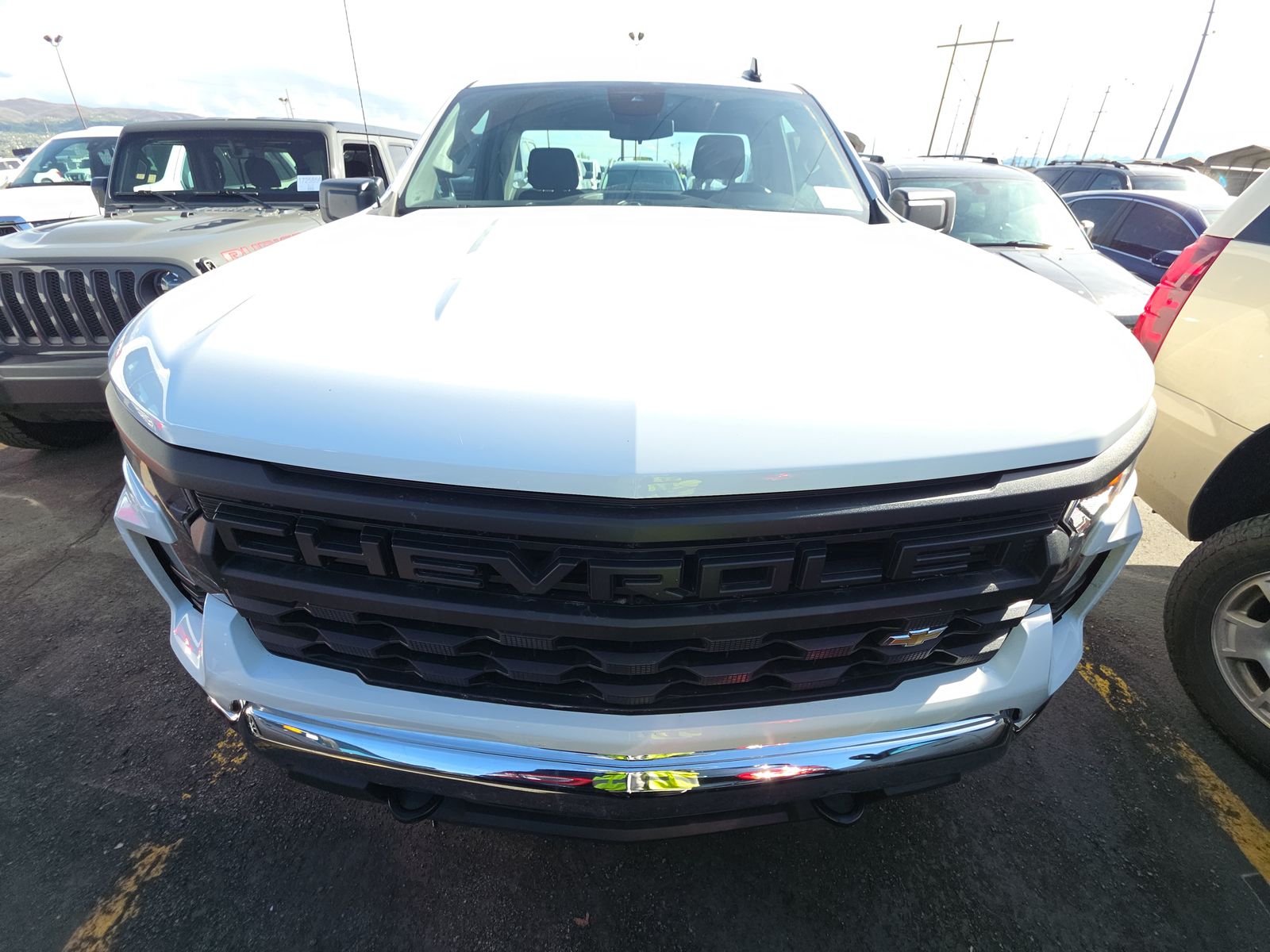 CHEVROLET WORK TRUCK - 3