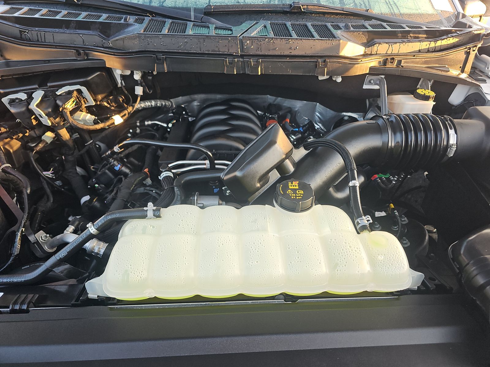 2024 Ford F-150 XL RWD