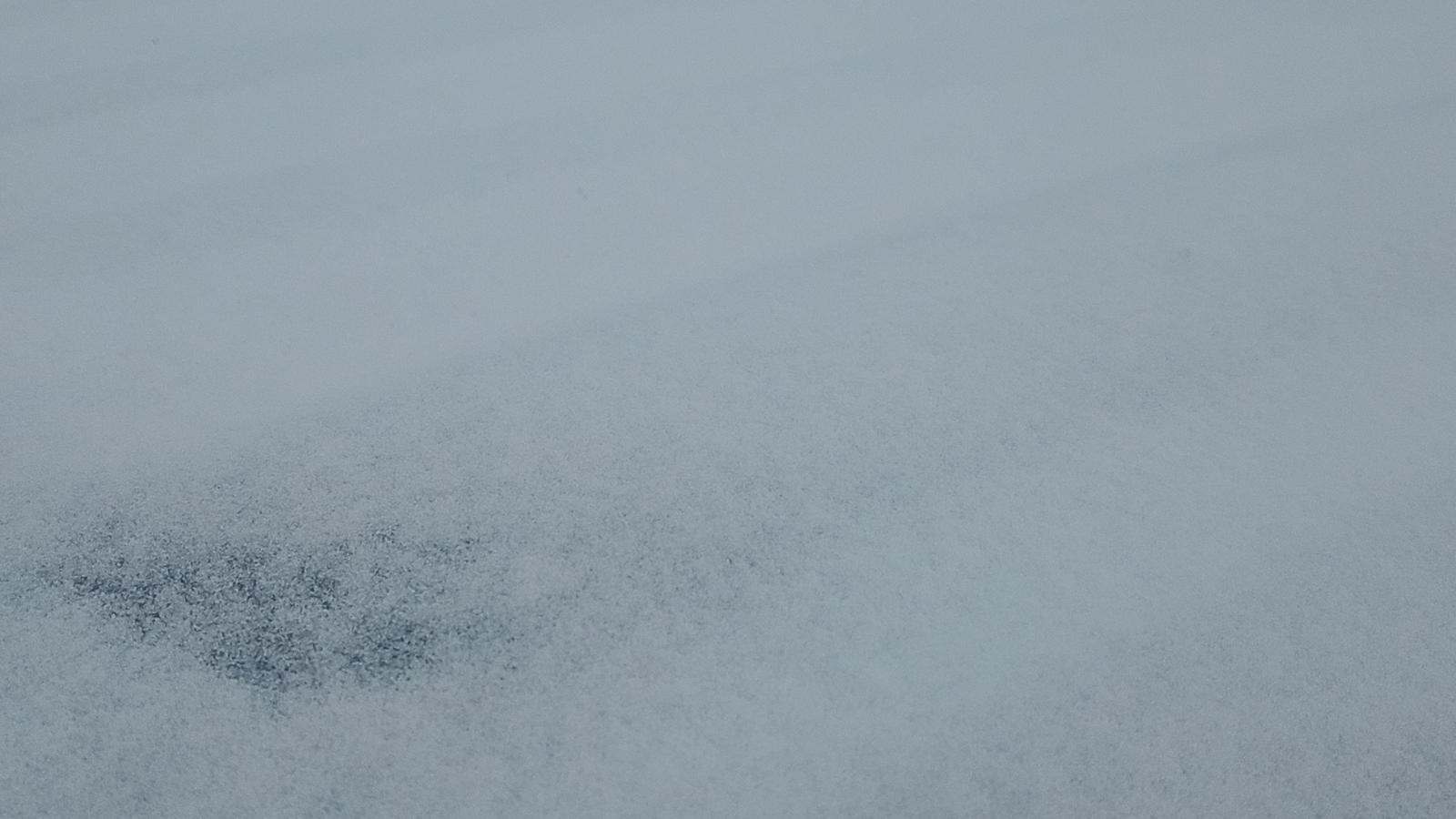 2025 Ford F-150 XLT AWD