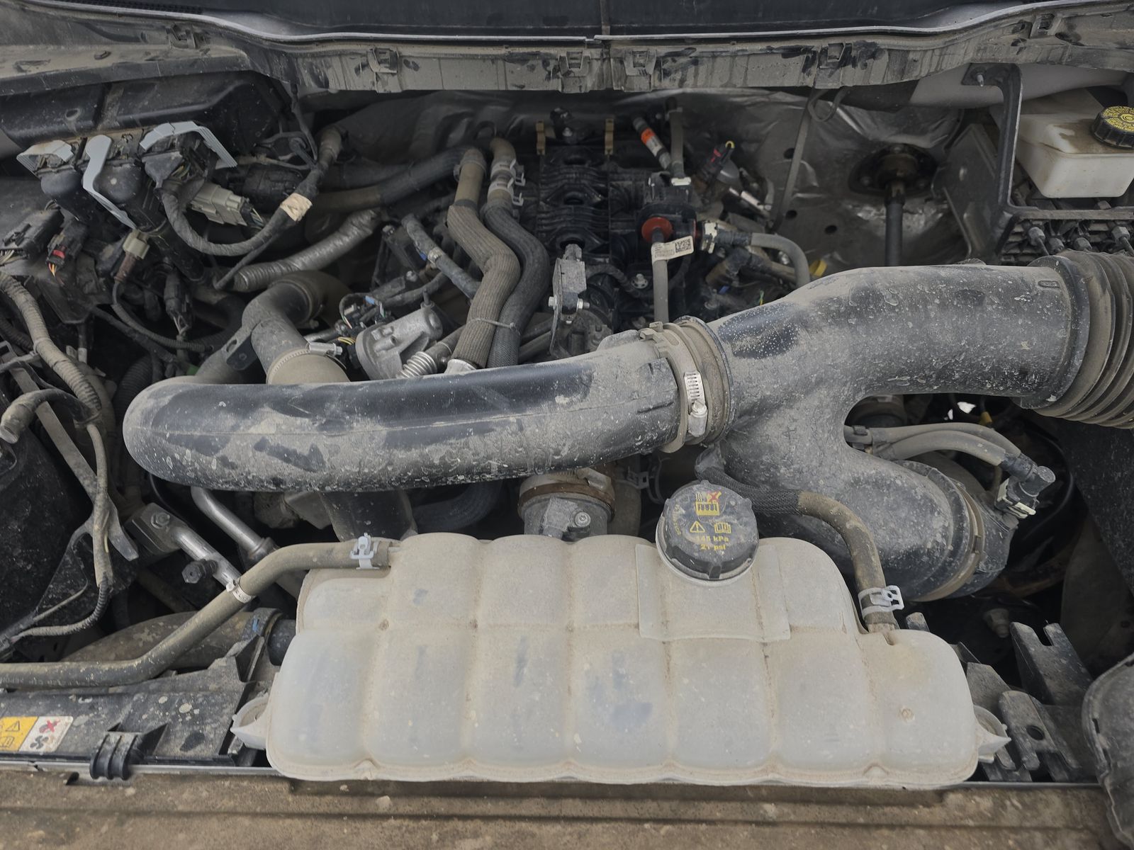 2024 Ford F-150 XLT AWD