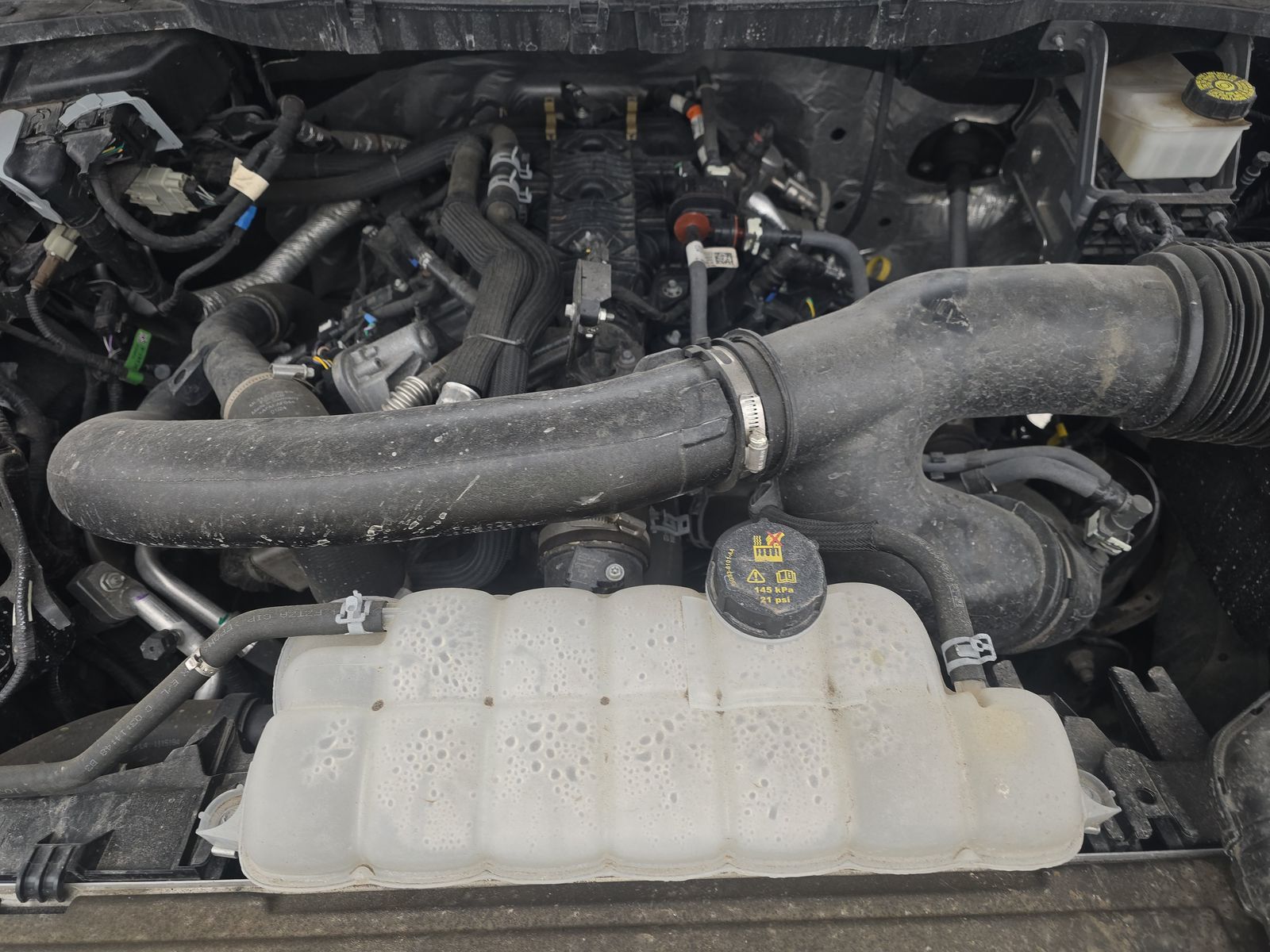 2024 Ford F-150 XLT AWD