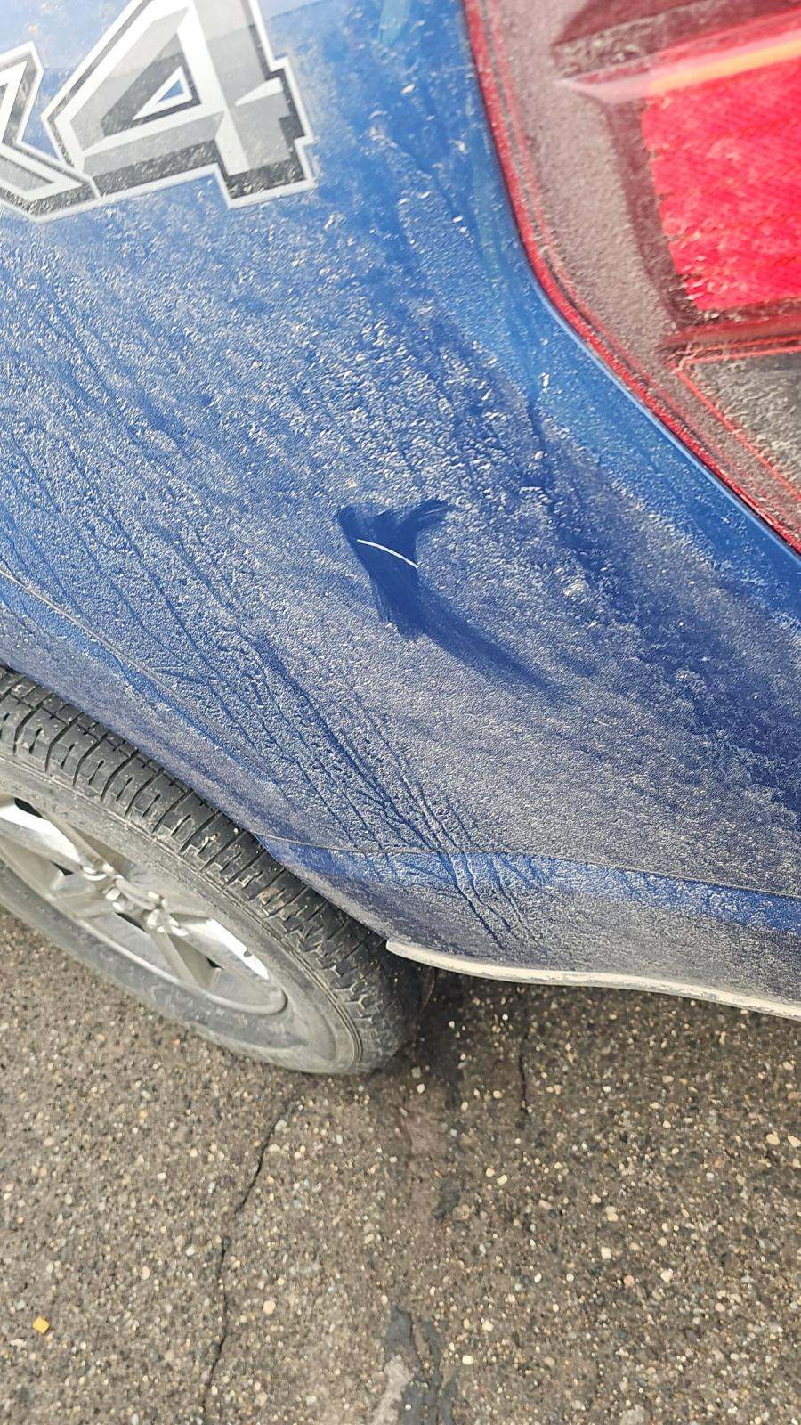 2025 Ford F-150 XLT AWD