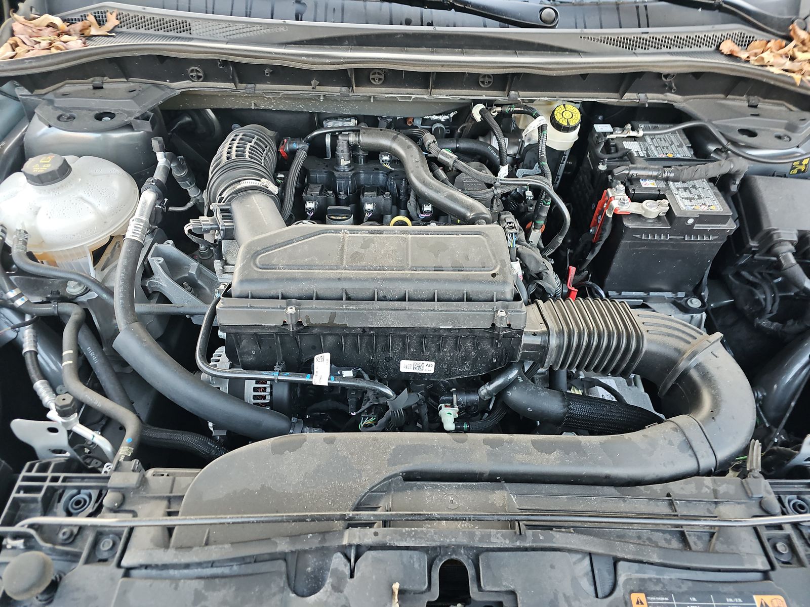 2025 Ford Escape ST-Line AWD