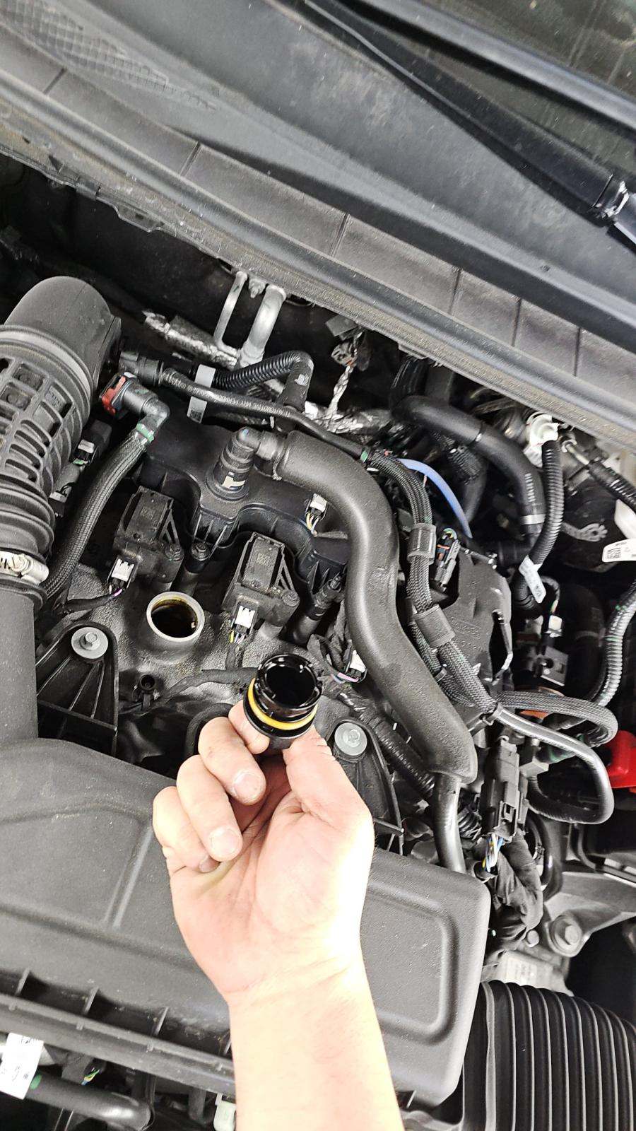 2025 Ford Escape ST-Line AWD