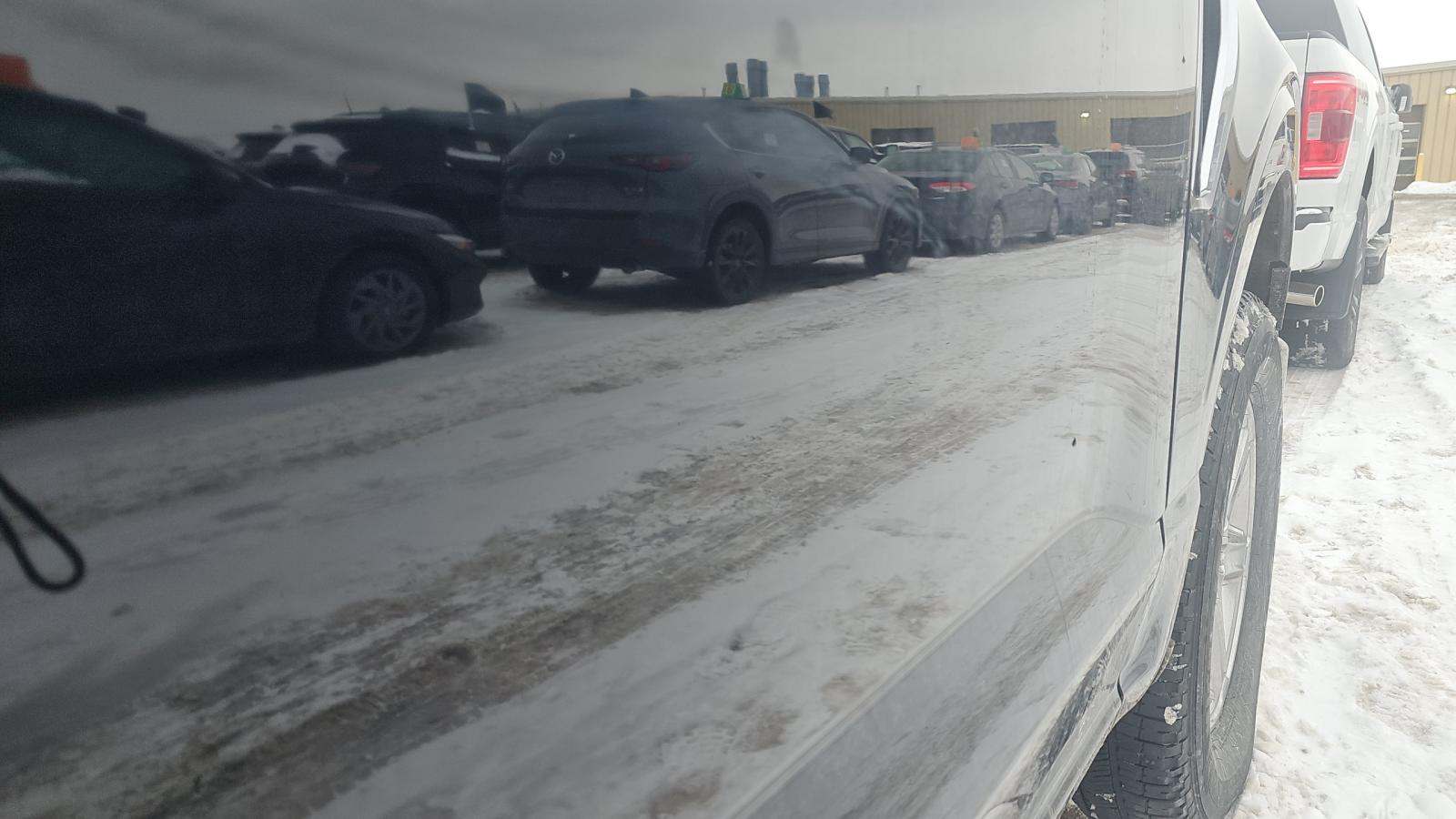 2024 Ford F-150 XLT AWD