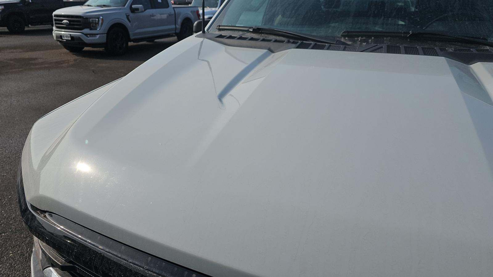 2024 Ford F-150 XLT AWD