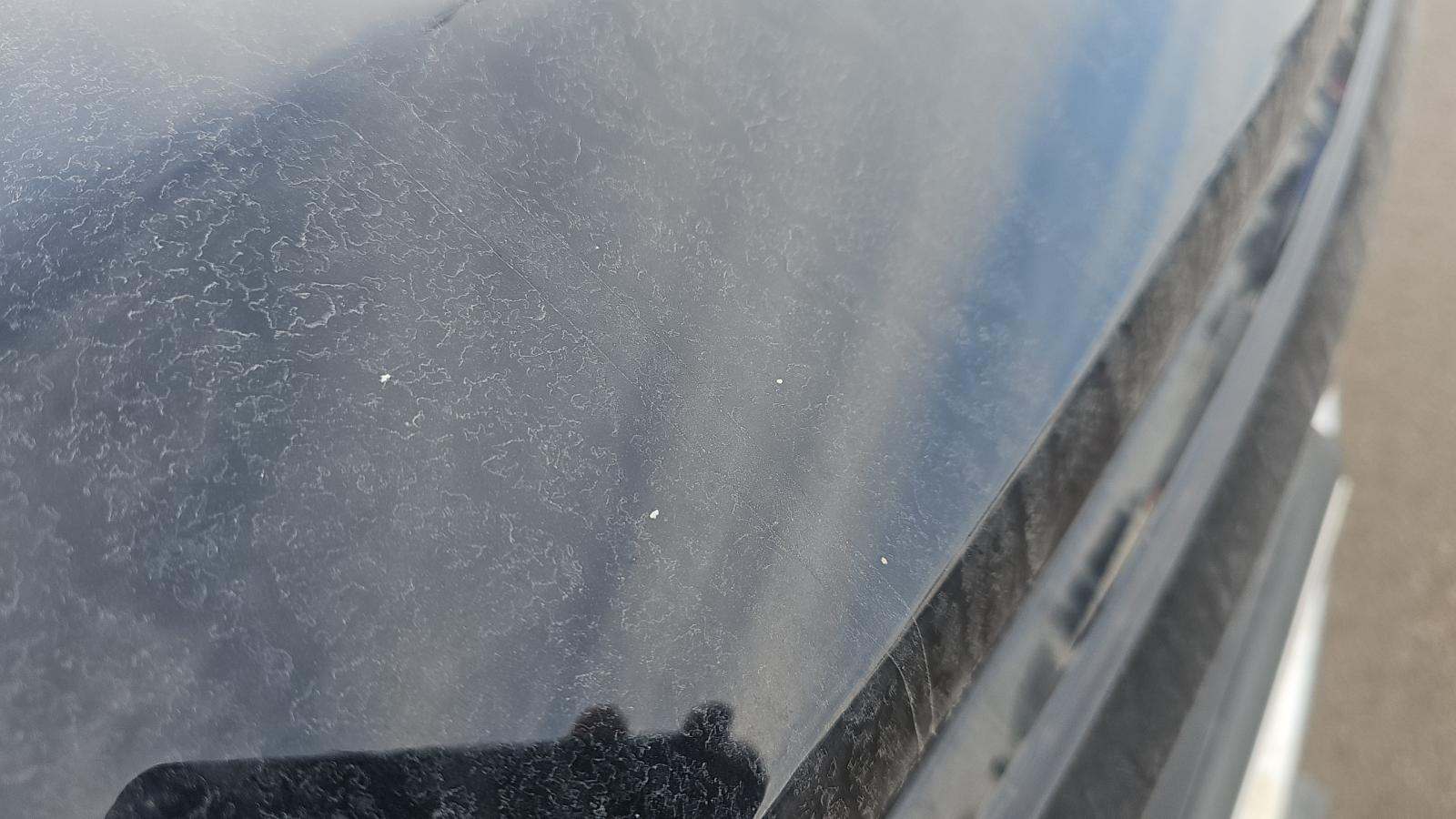 2024 Ford F-150 XLT AWD