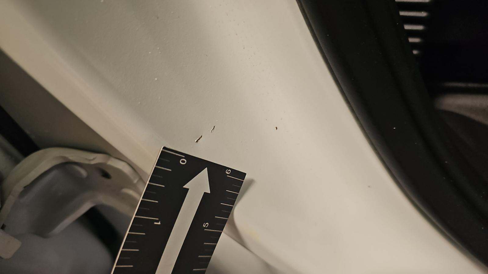 2024 Ford F-150 XL AWD