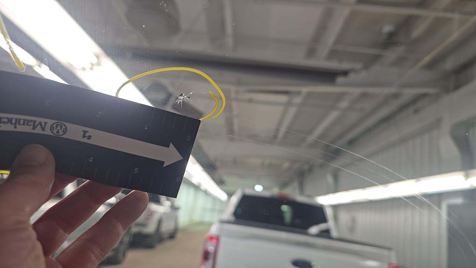 2025 Ford F-150 XLT AWD