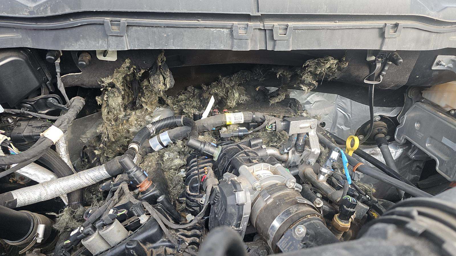 2023 Ford F-150 Lariat AWD