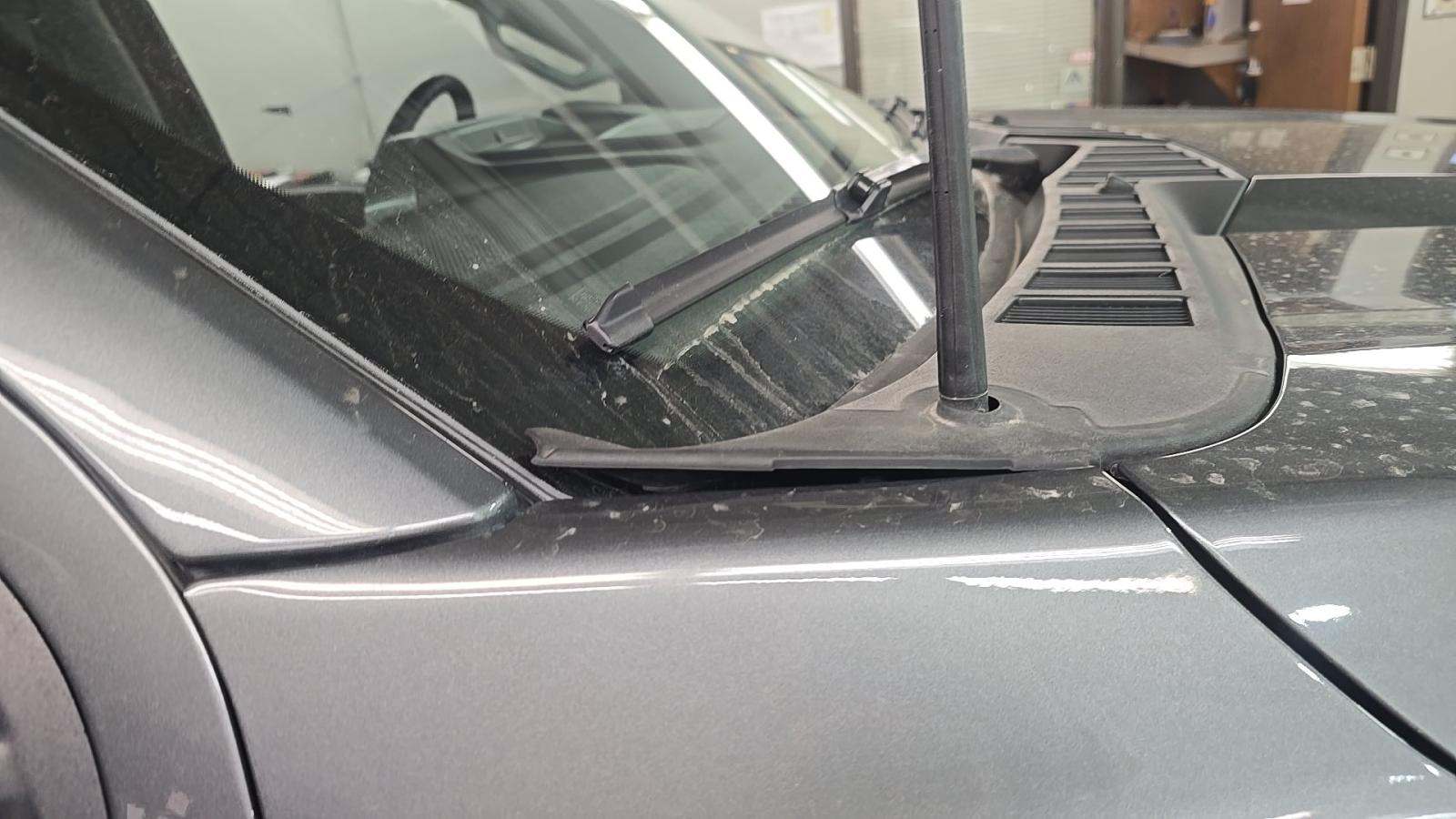 2025 Ford F-150 XLT AWD