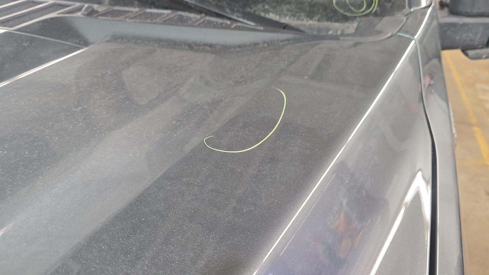 2025 Ford F-150 XLT AWD