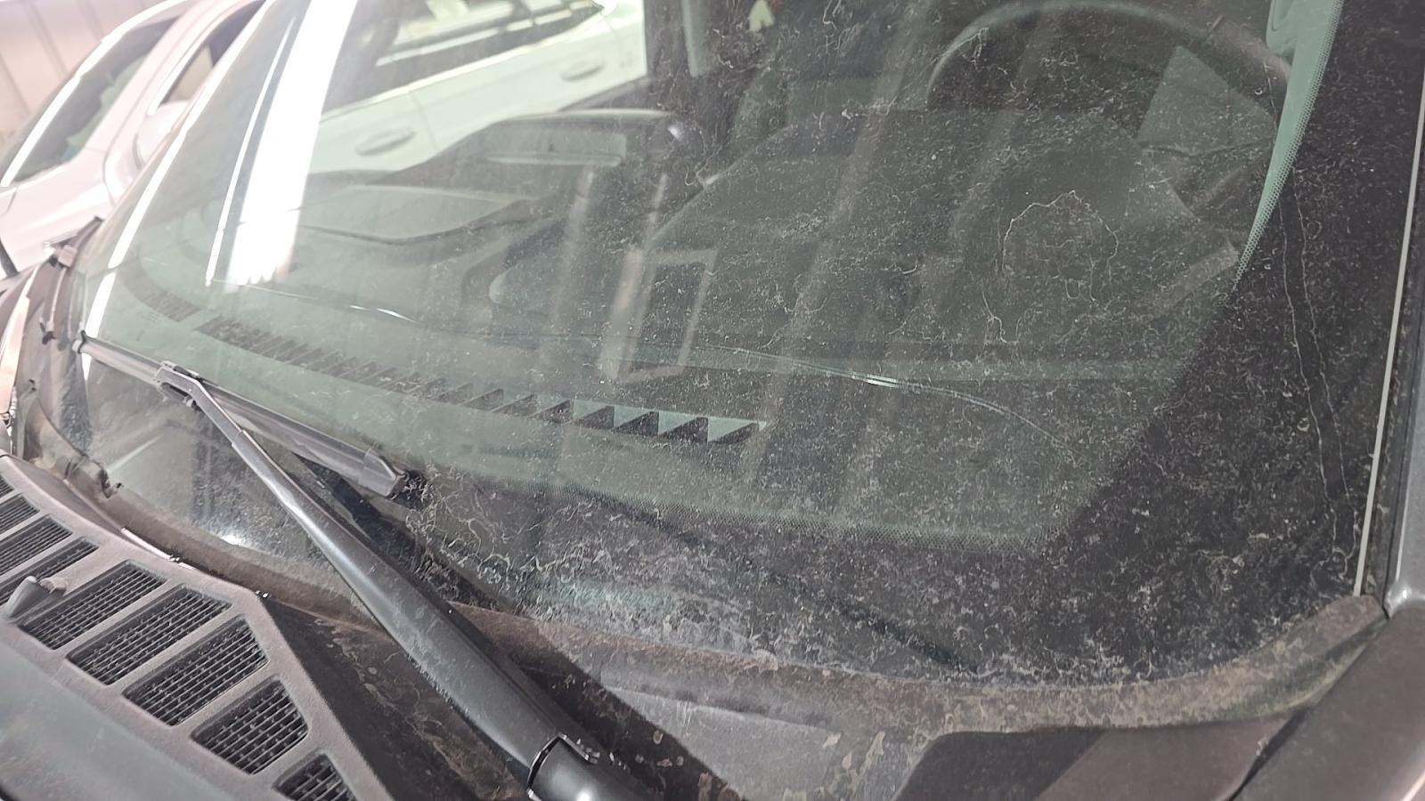 2025 Ford F-150 XLT AWD