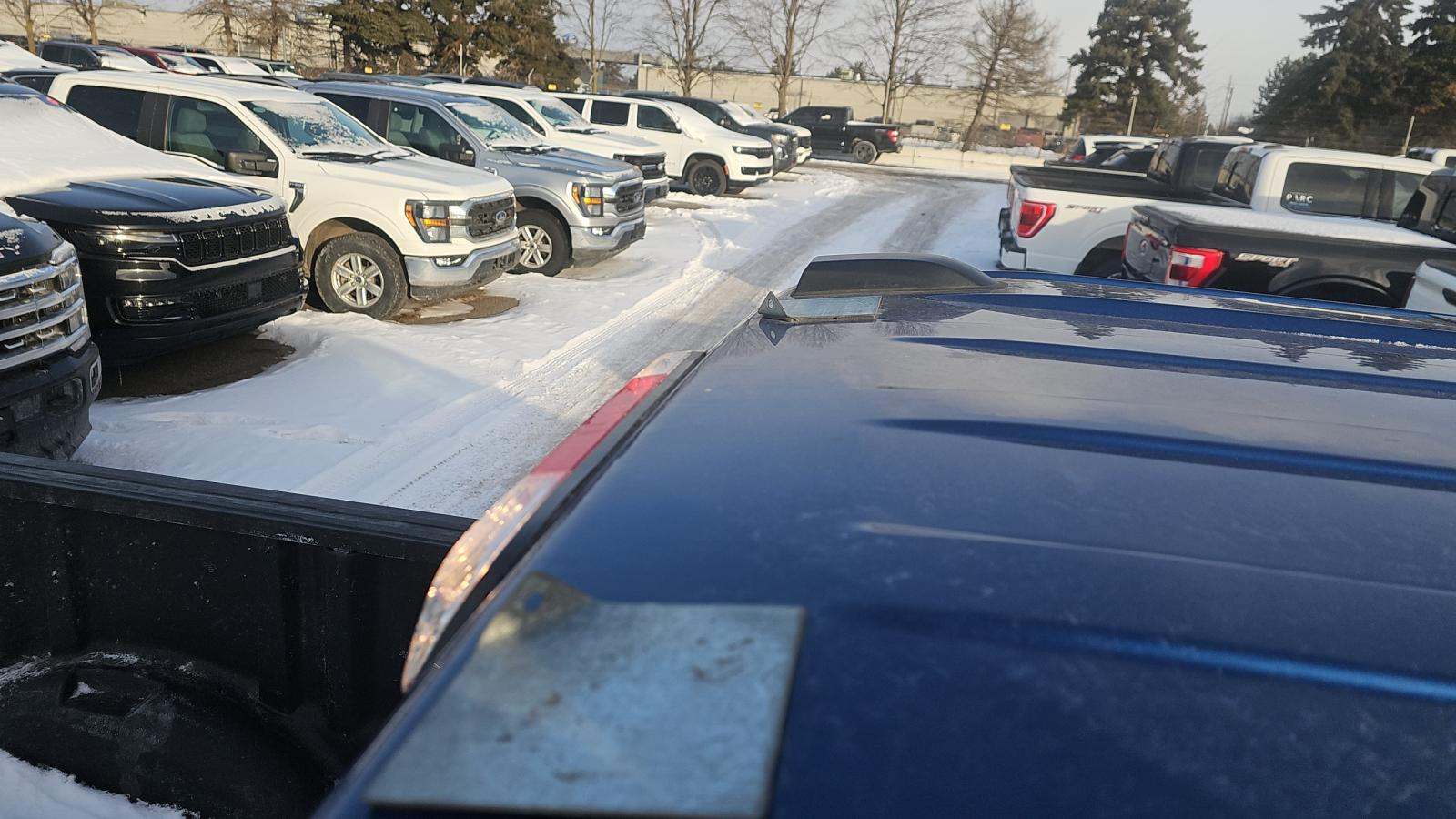 2024 Ford F-150 XLT AWD