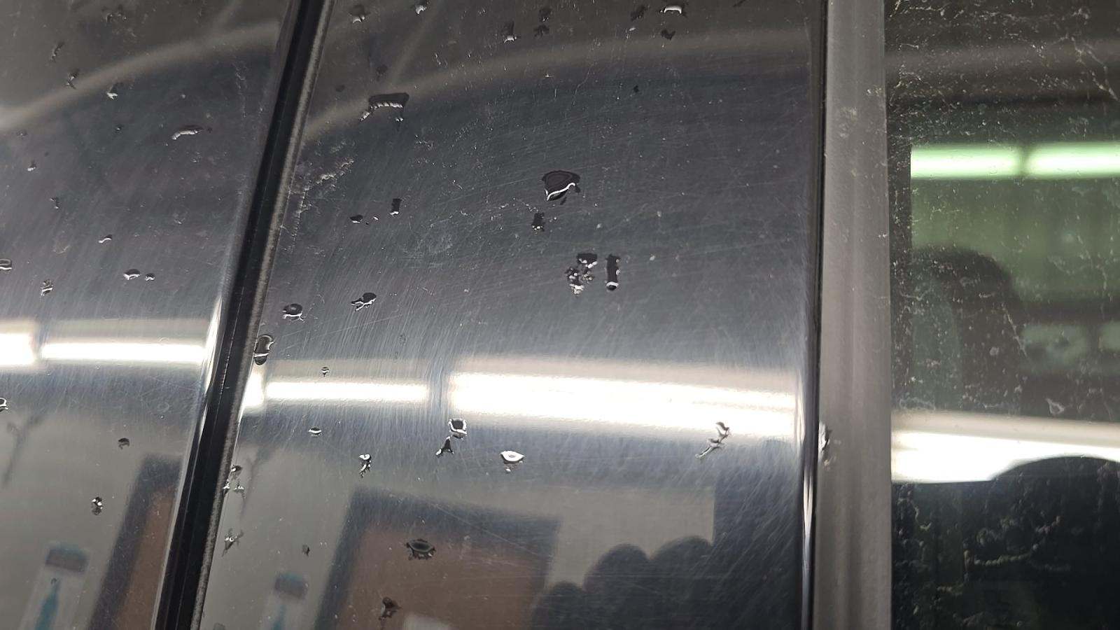 2024 Ford F-150 XLT AWD