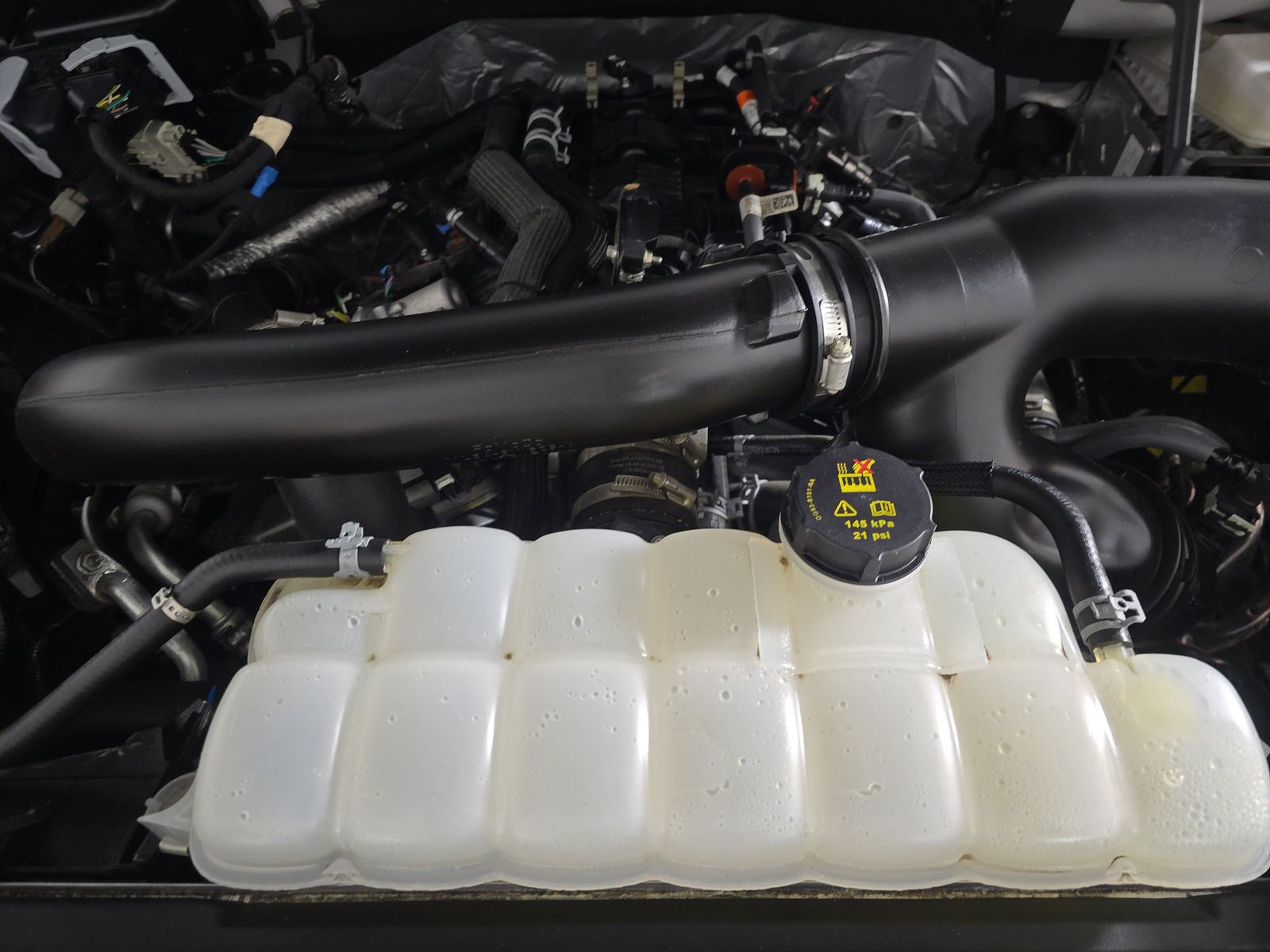 2025 Ford F-150 XLT AWD