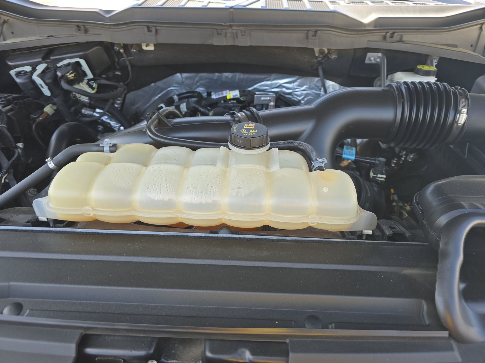 2023 Ford F-150 XLT RWD