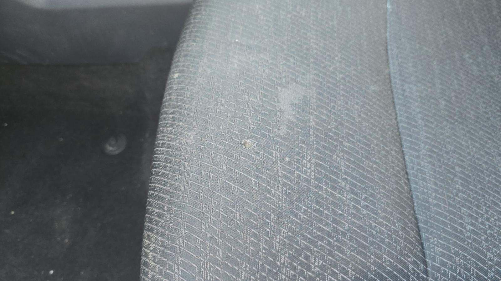 2023 Ford F-150 XLT RWD