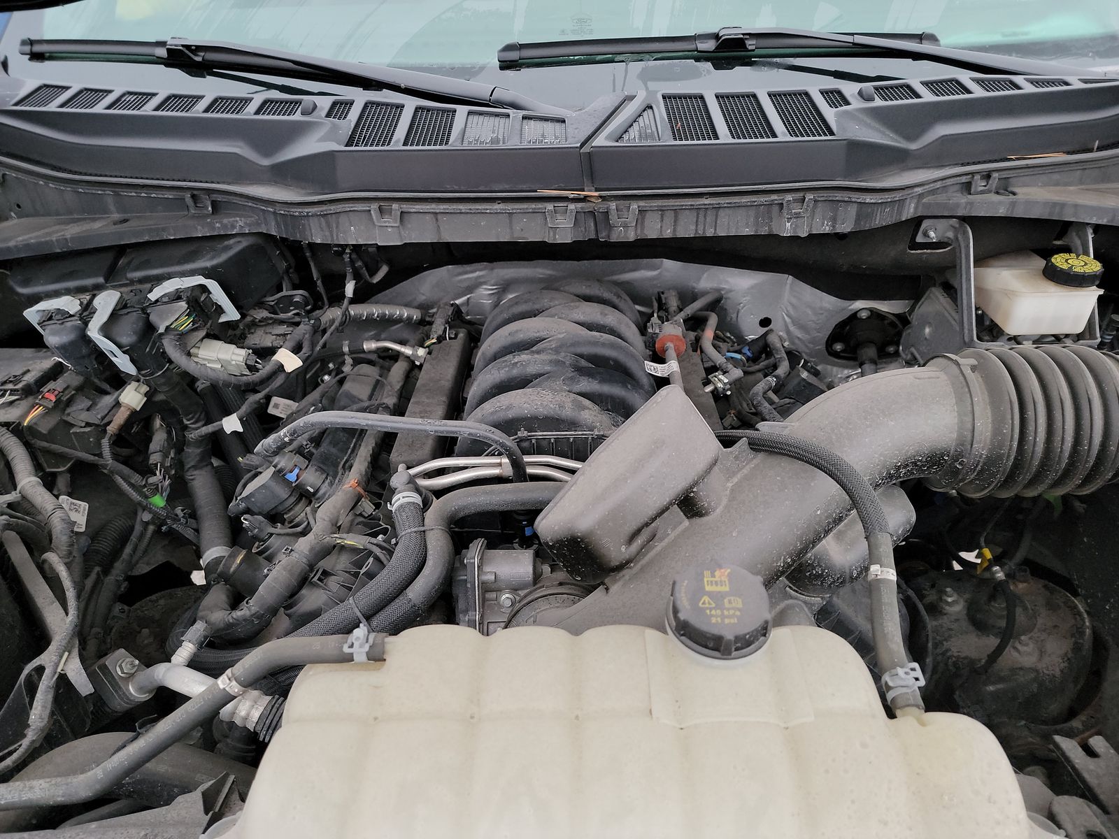 2024 Ford F-150 XLT AWD