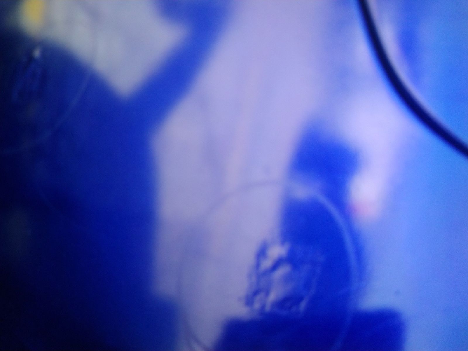 2026 BMW X5 M60i xDrive AWD