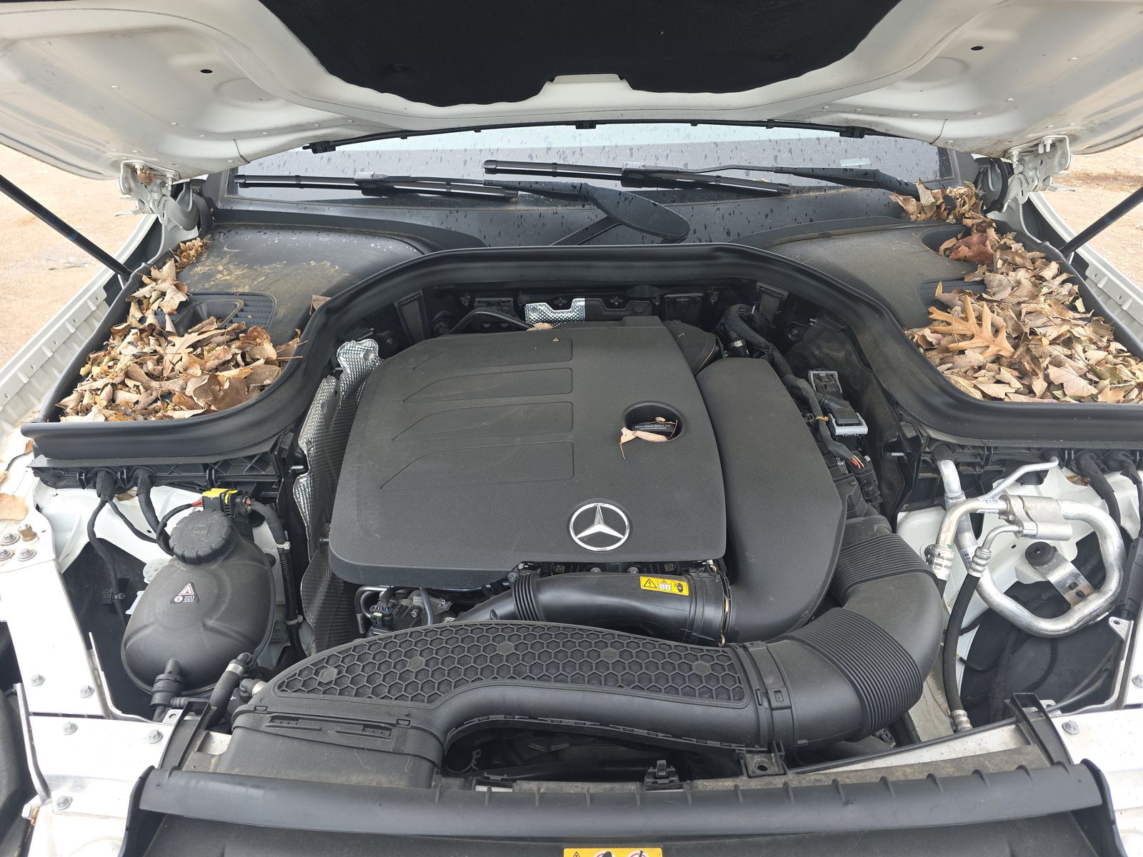 2021 Mercedes-Benz GLC GLC 300 RWD
