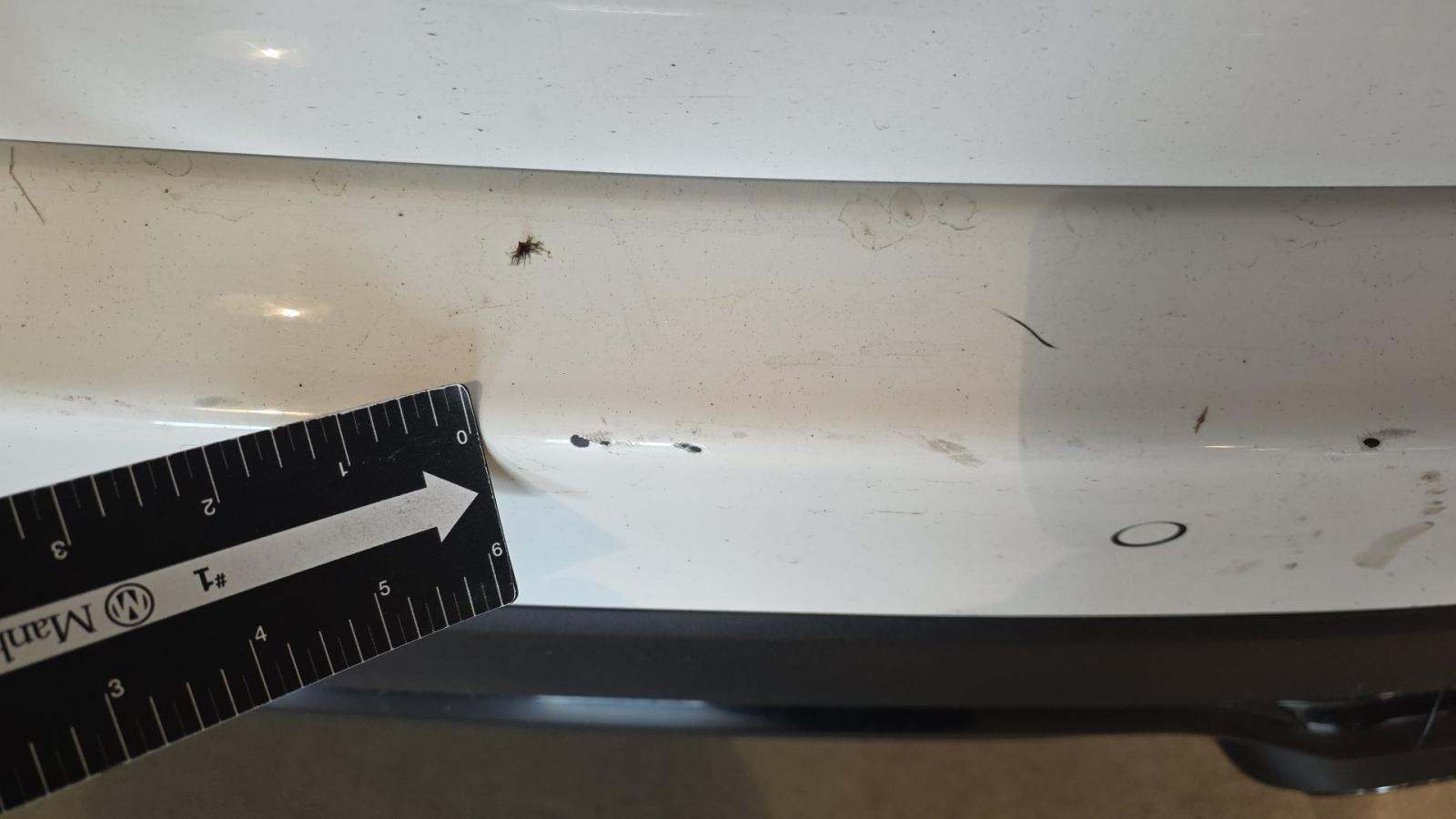 2025 Mercedes-Benz GLC AMG GLC 43 AWD