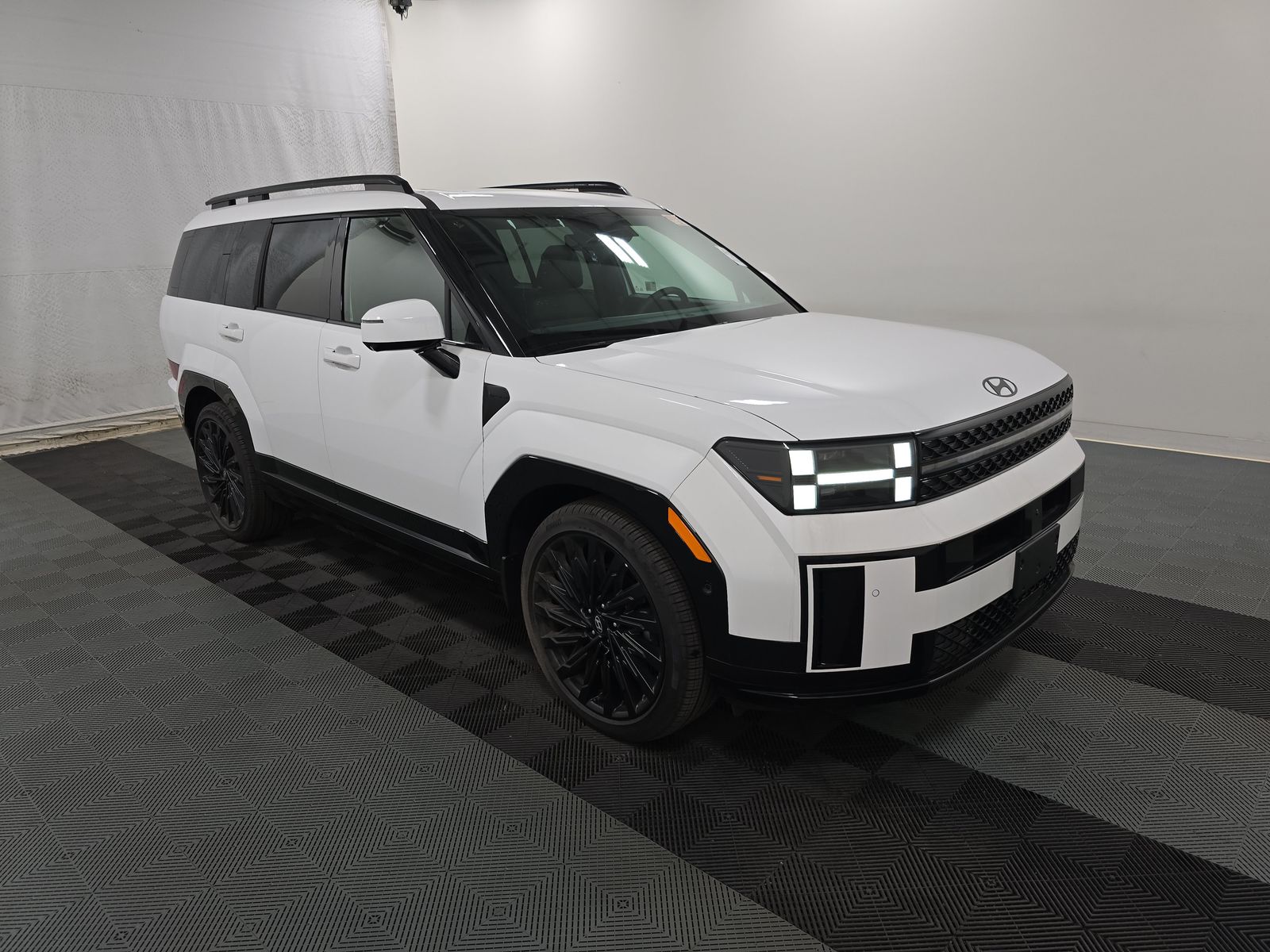 HYUNDAI CALLIGRAPH - 4