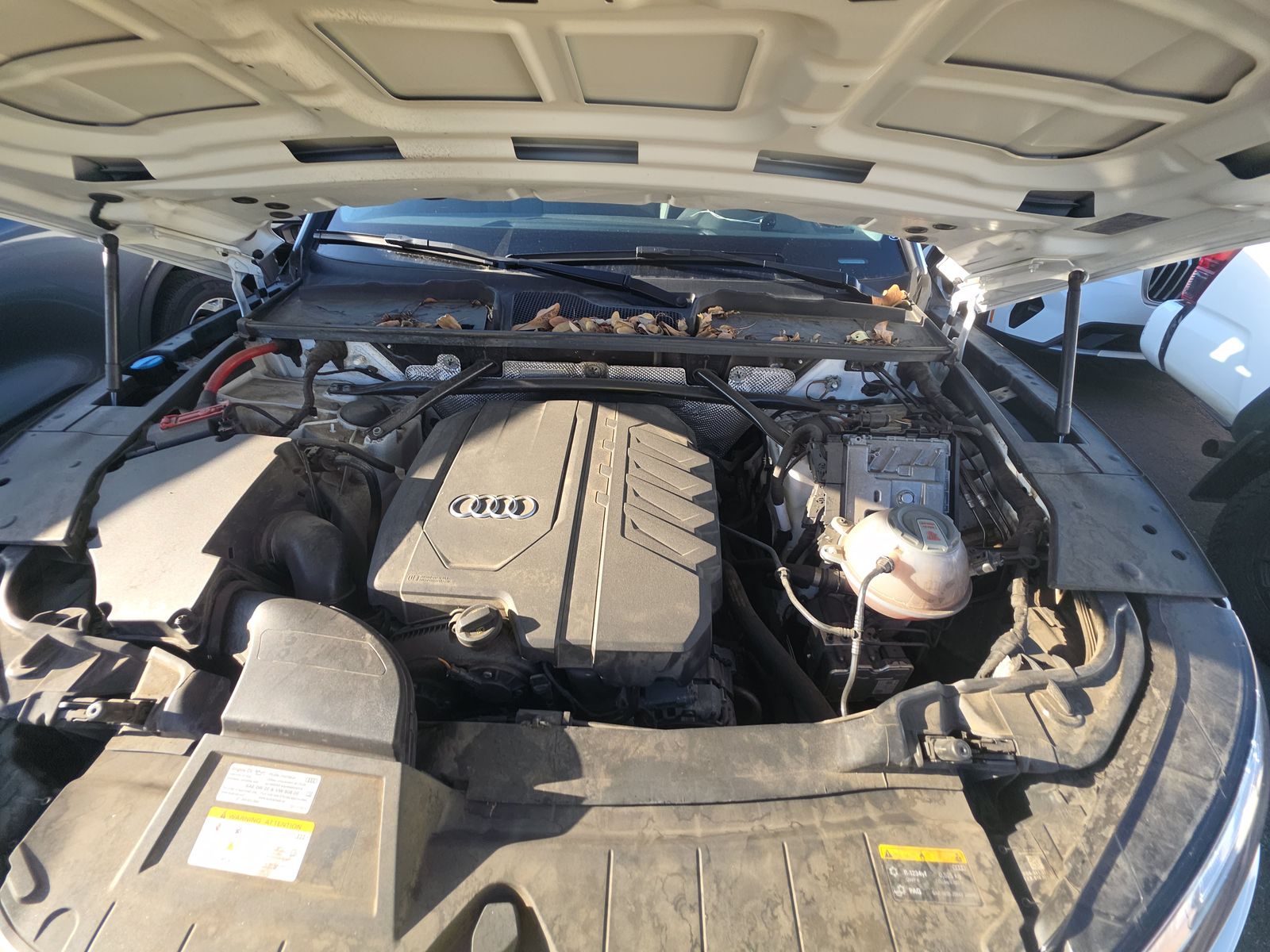 2023 Audi Q5 S line Premium Plus AWD