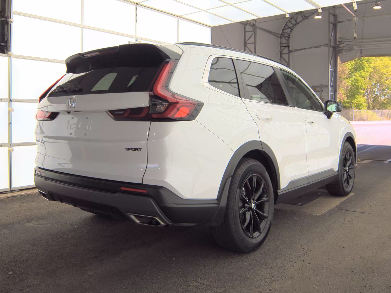HONDA SPORT - 6