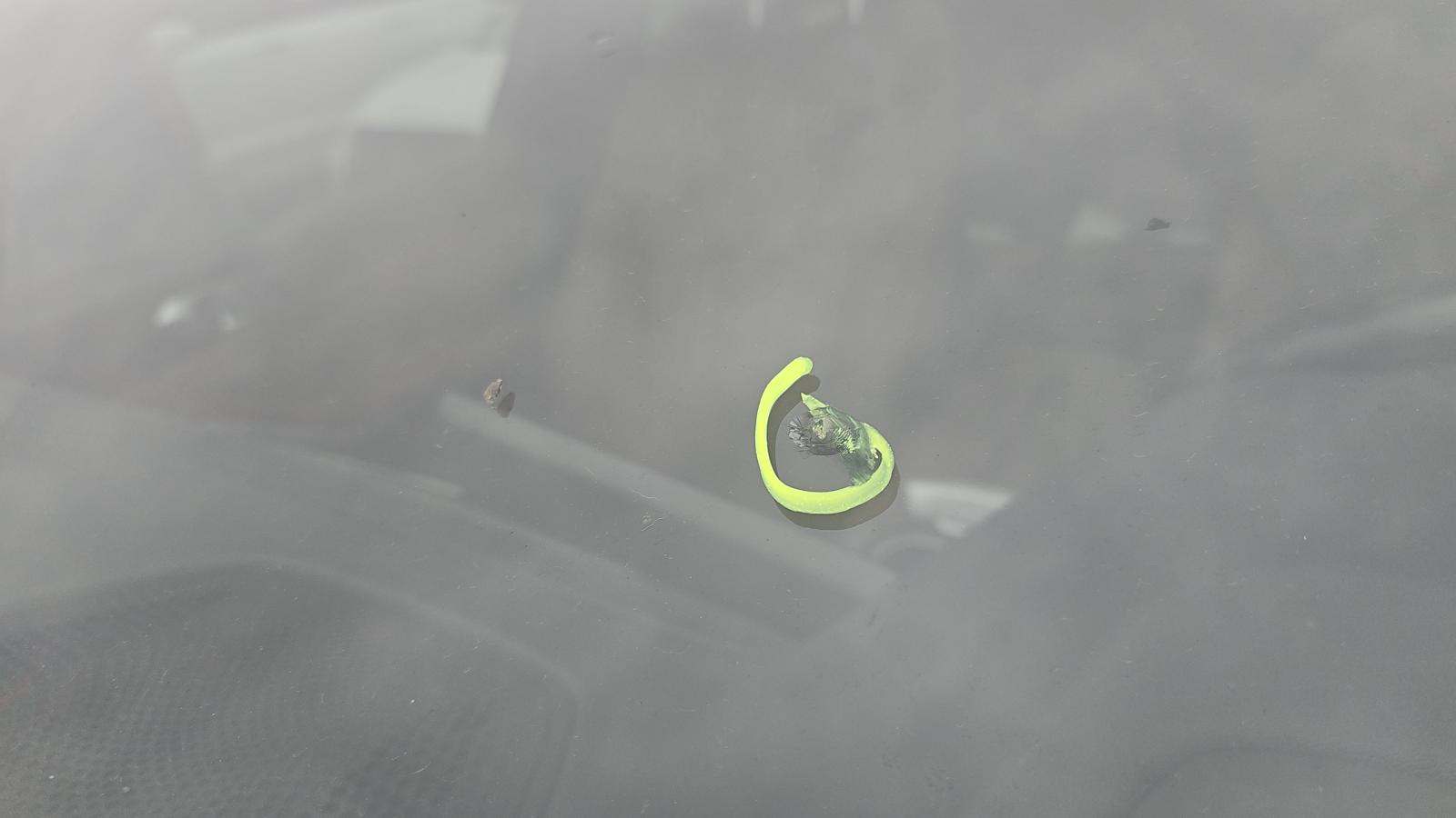 2022 BMW X5 xDrive40i AWD