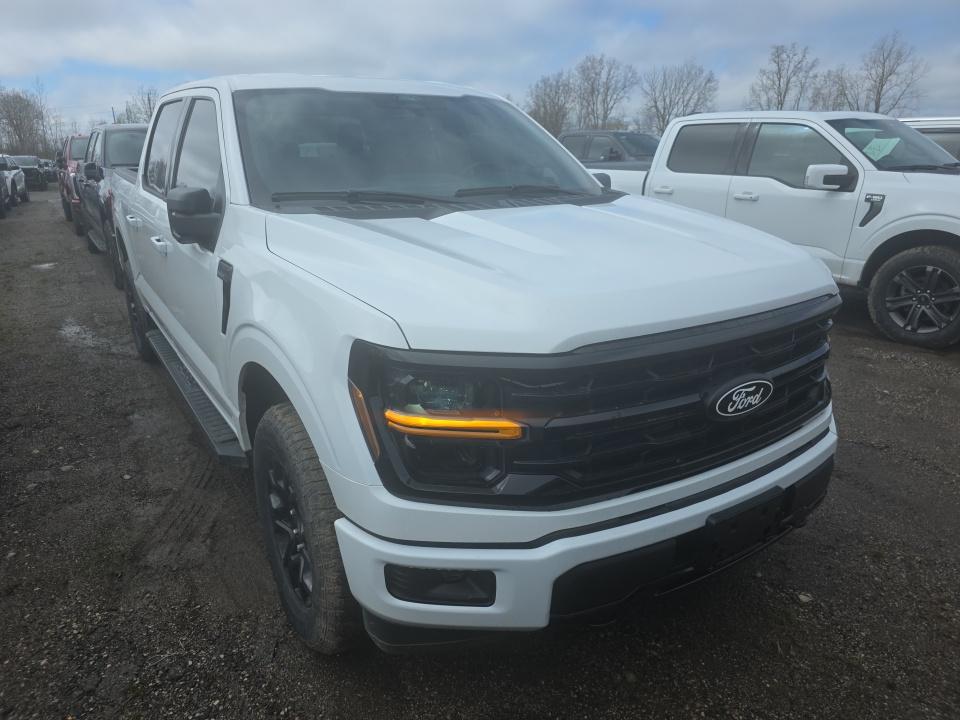 FORD F-150 - 4