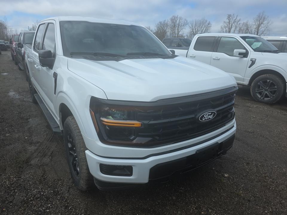 FORD F-150 - 3