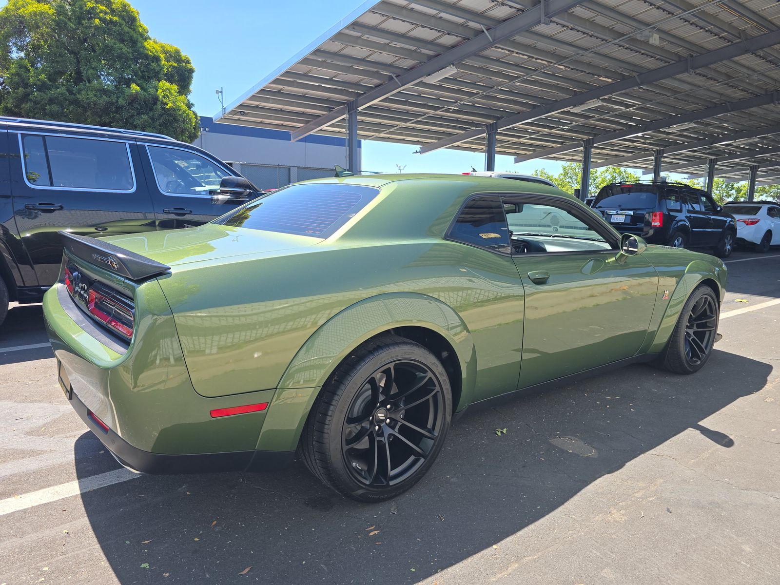 DODGE SCT PCK WD - 5