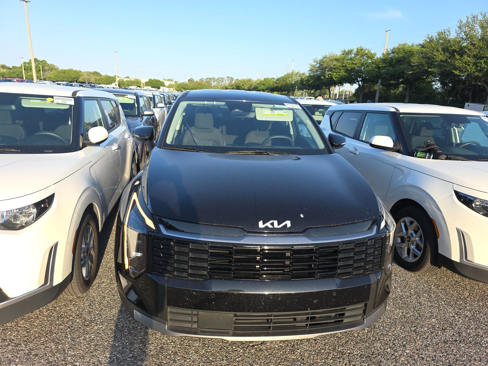 KIA OTHER - 3