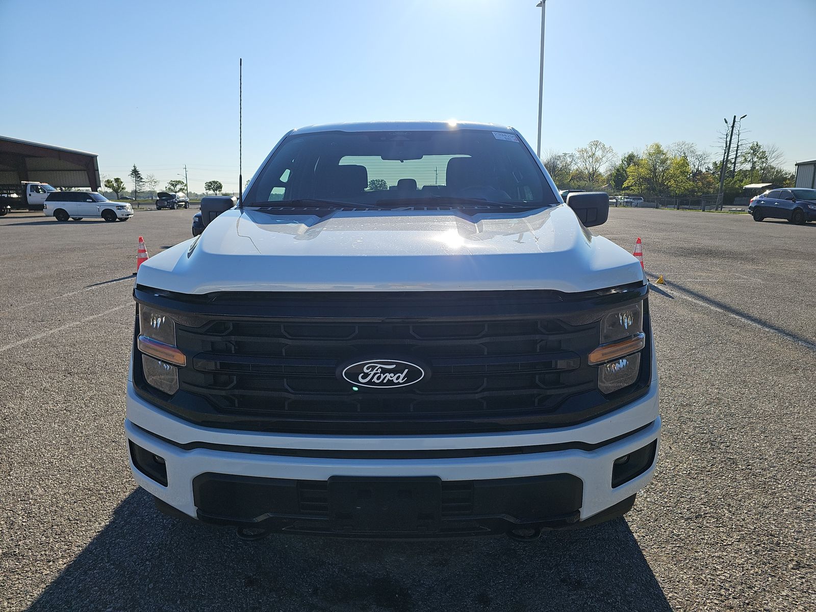 FORD F-150 - 3