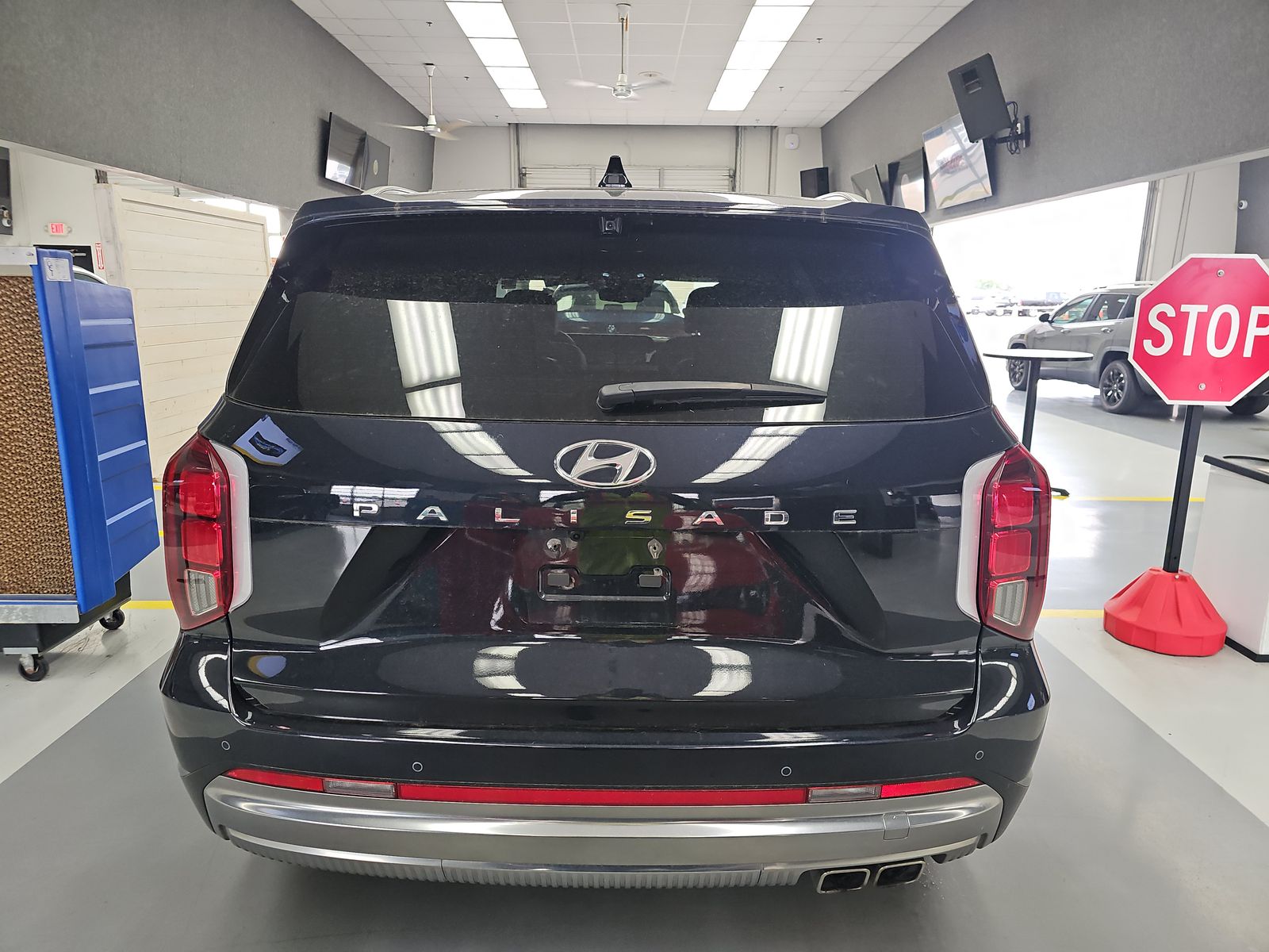 HYUNDAI CALLIGRAPH - 6