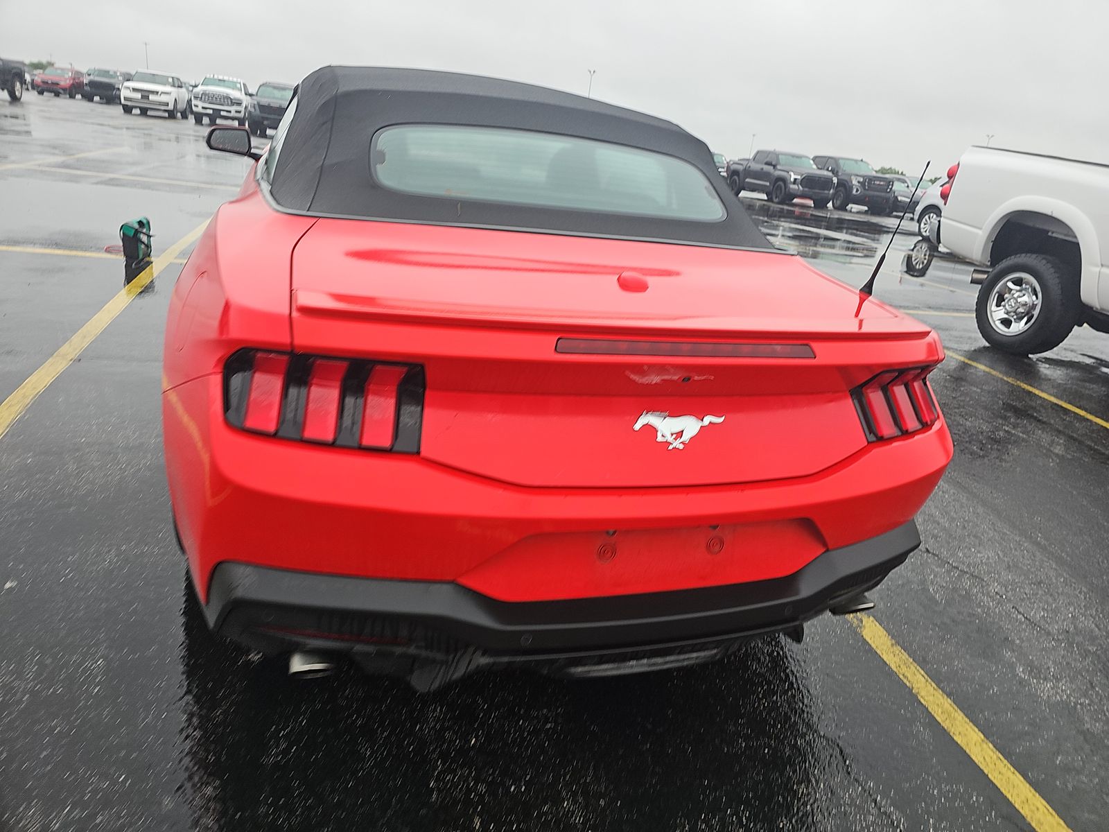 FORD MUSTANG - 6