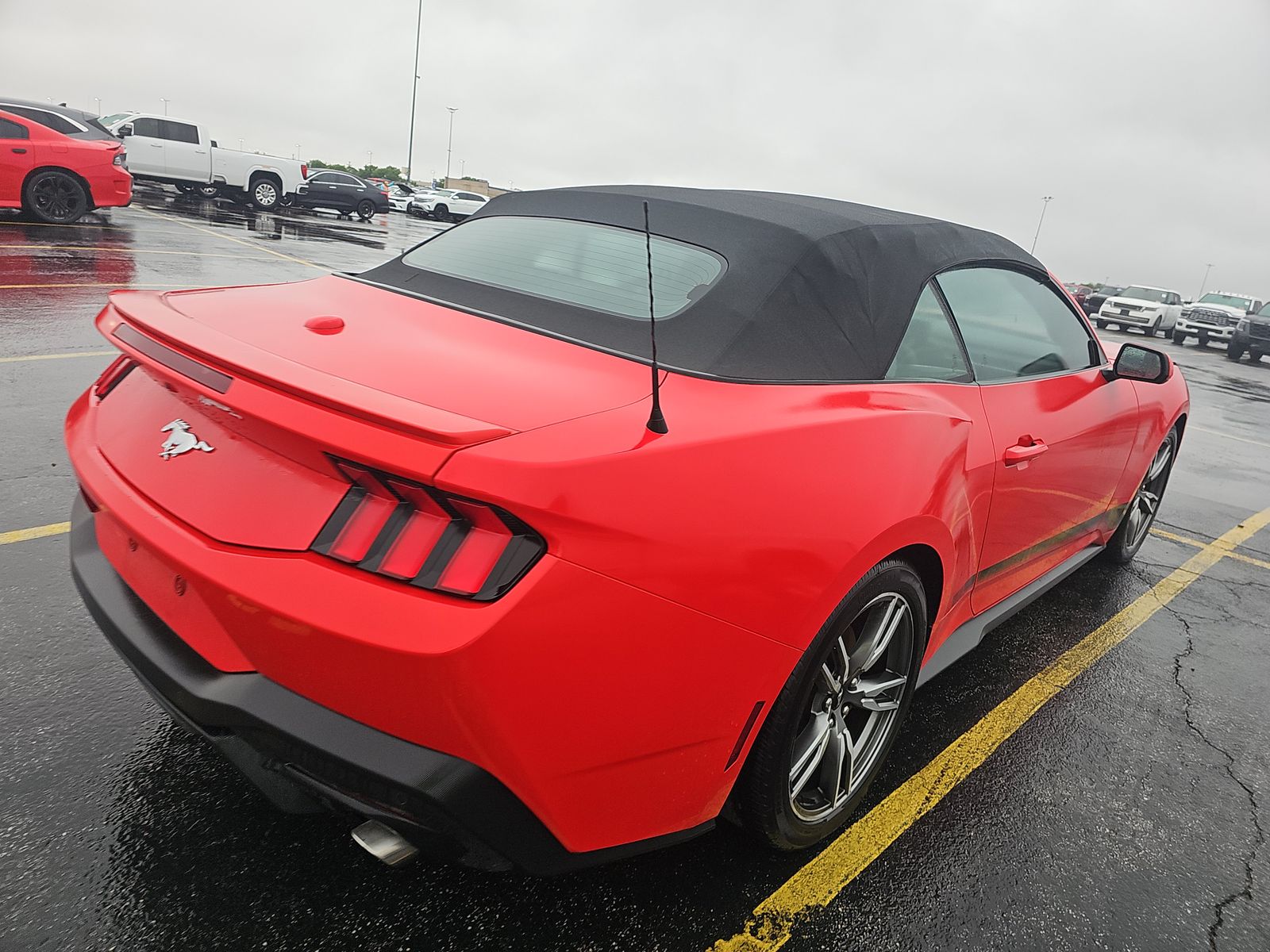 FORD MUSTANG - 5