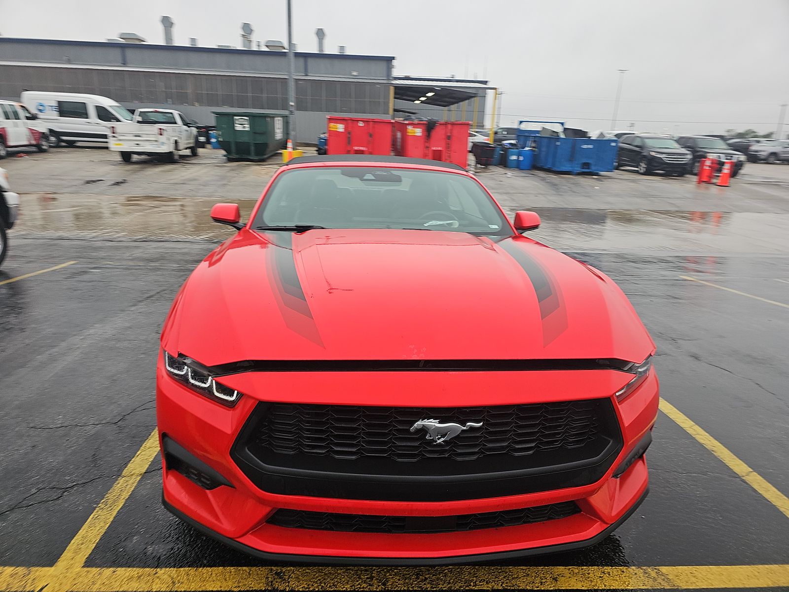 FORD MUSTANG - 3