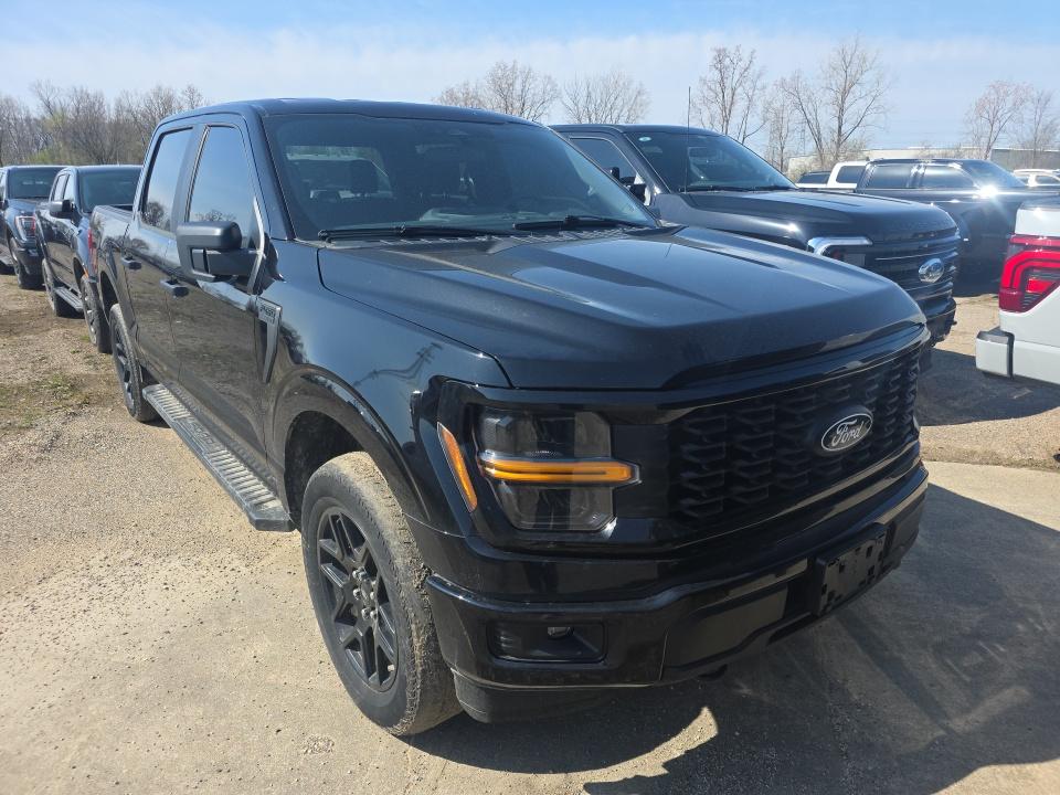 FORD F-150 - 4