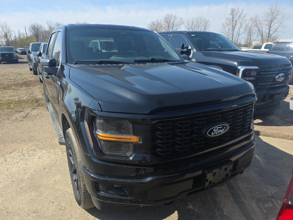 FORD F-150 - 3
