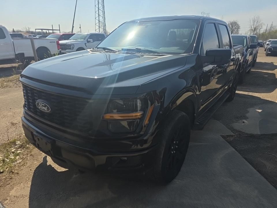 FORD F-150 - 1
