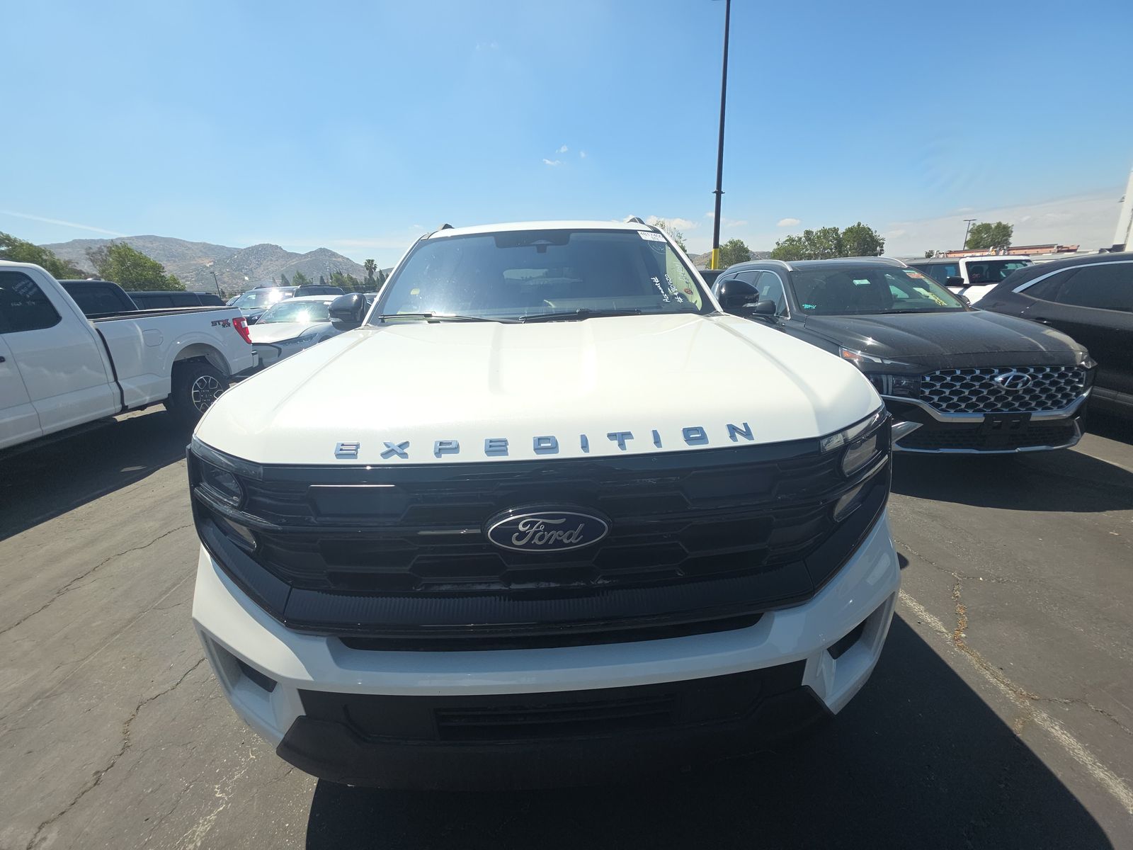 FORD EXPEDITION MAX - 3