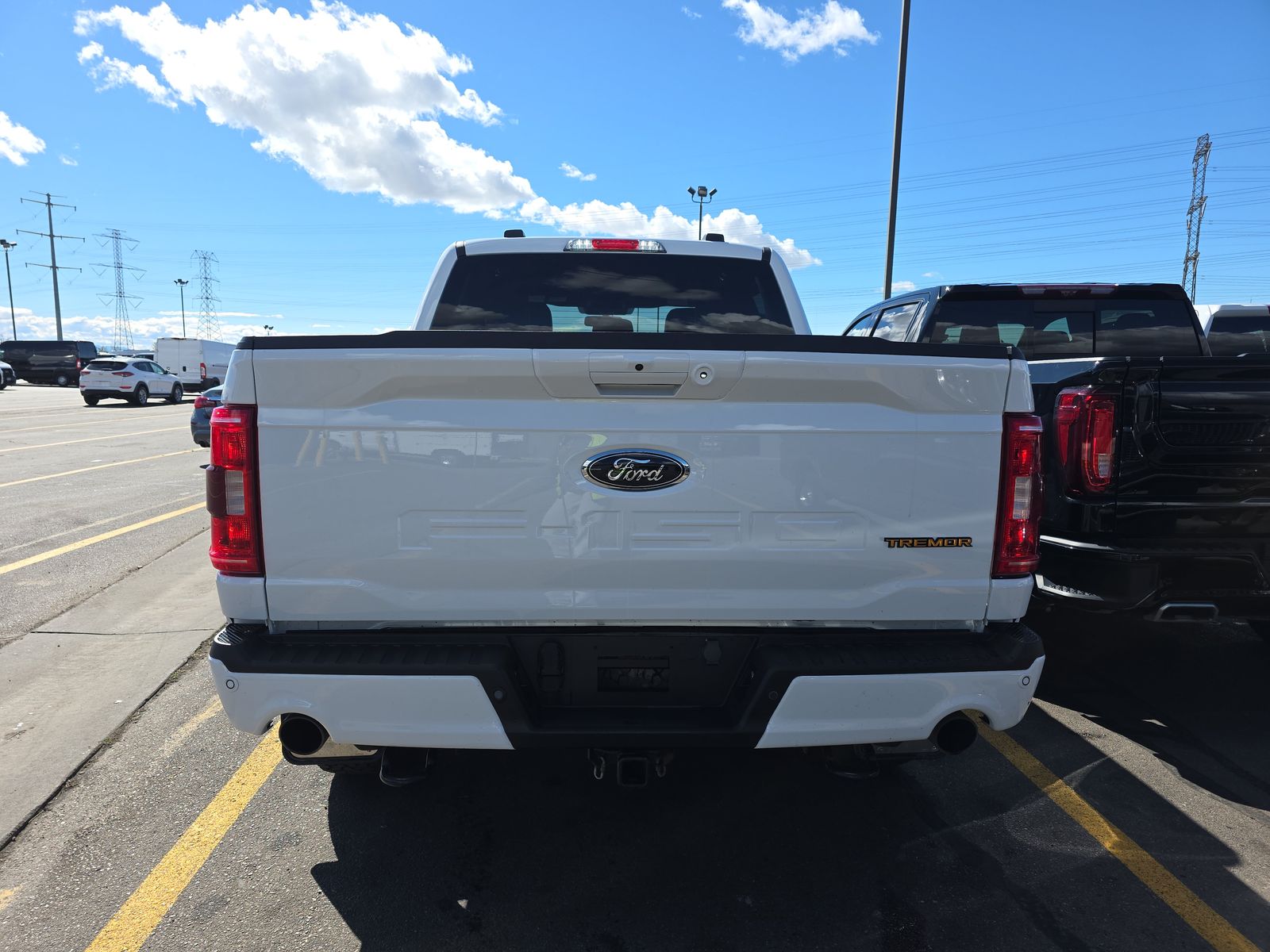 FORD F-150 - 6