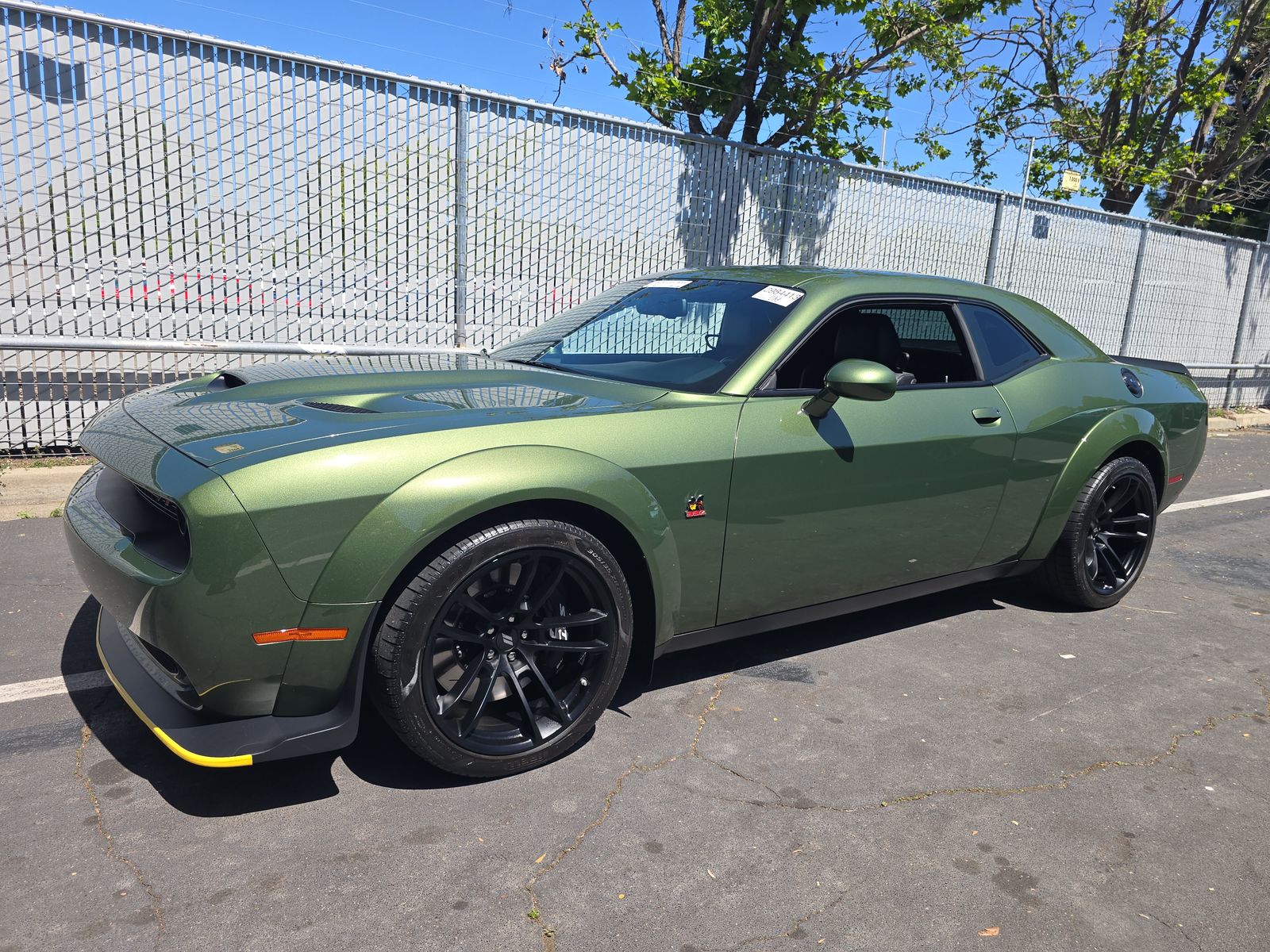 DODGE SCT PCK WD - 1