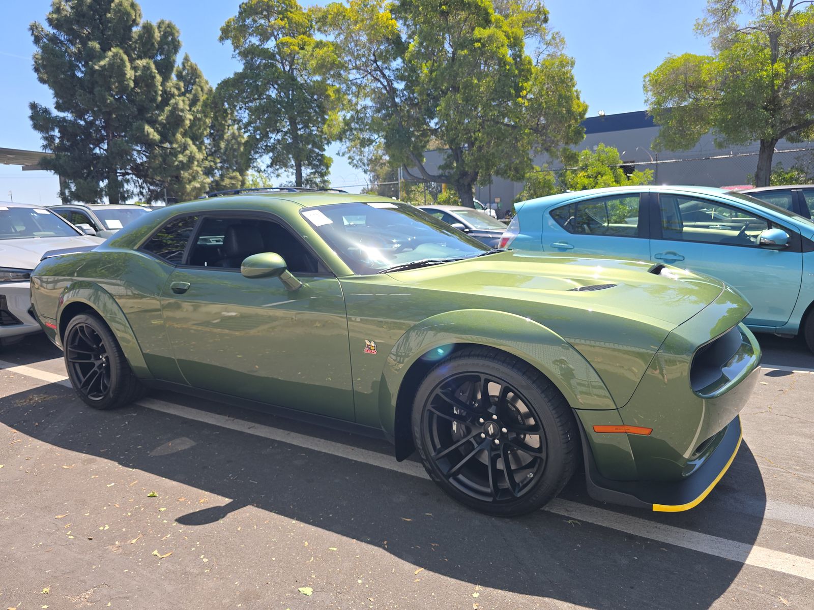 DODGE SCT PCK WD - 4