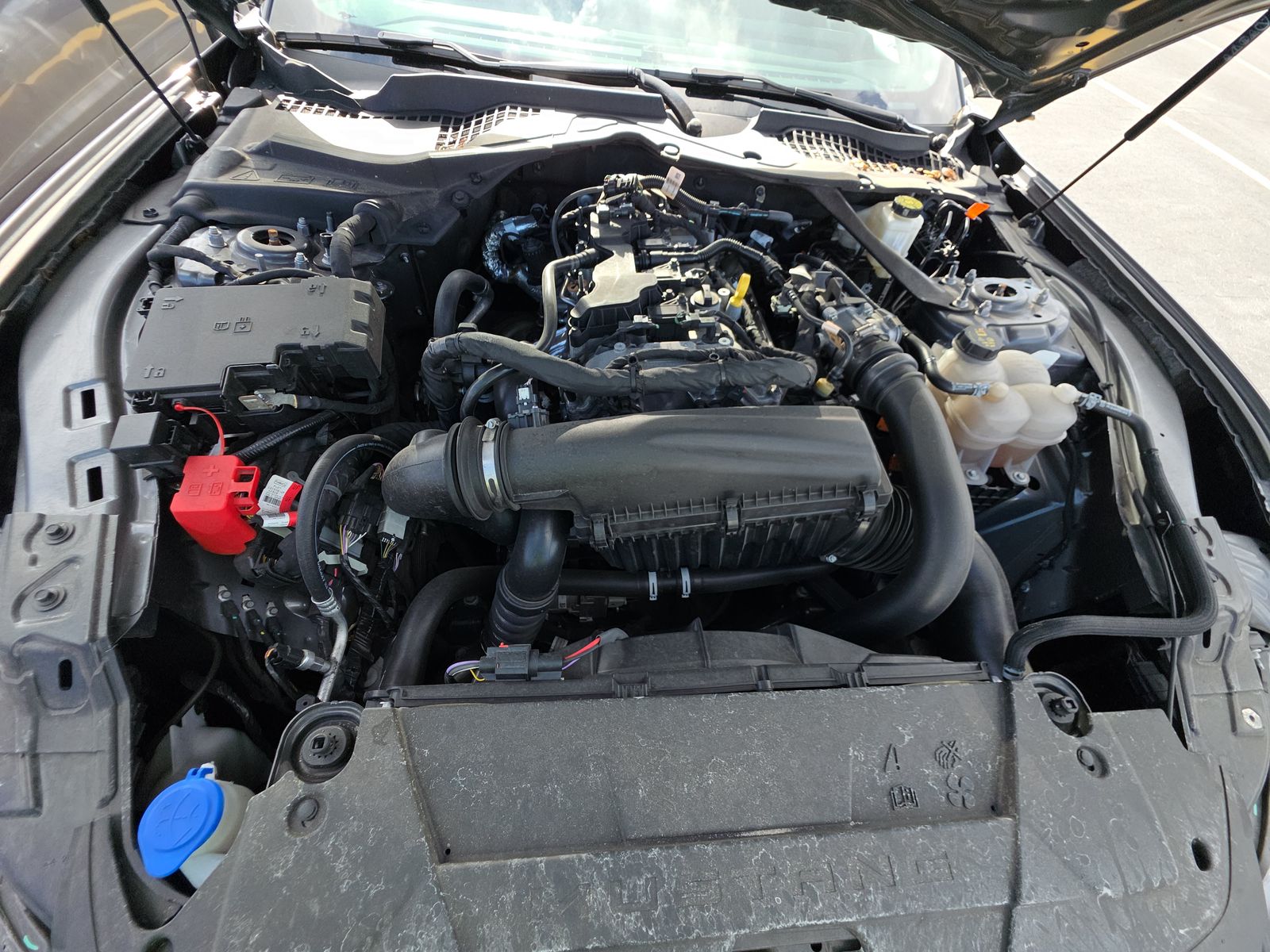 2024 Ford Mustang EcoBoost Premium RWD