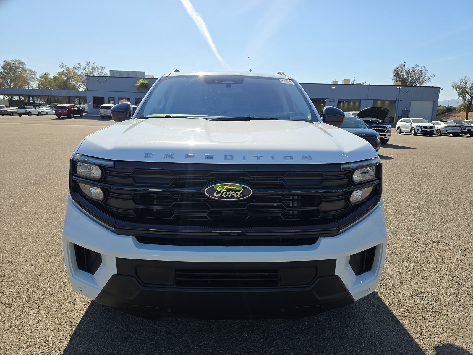 FORD EXPEDITION - 3