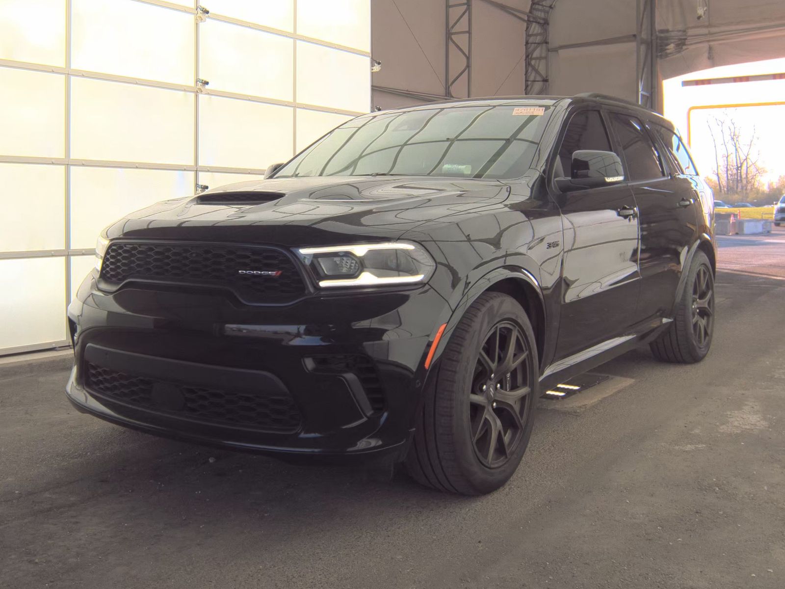 DODGE ANNIV PLUS - 1